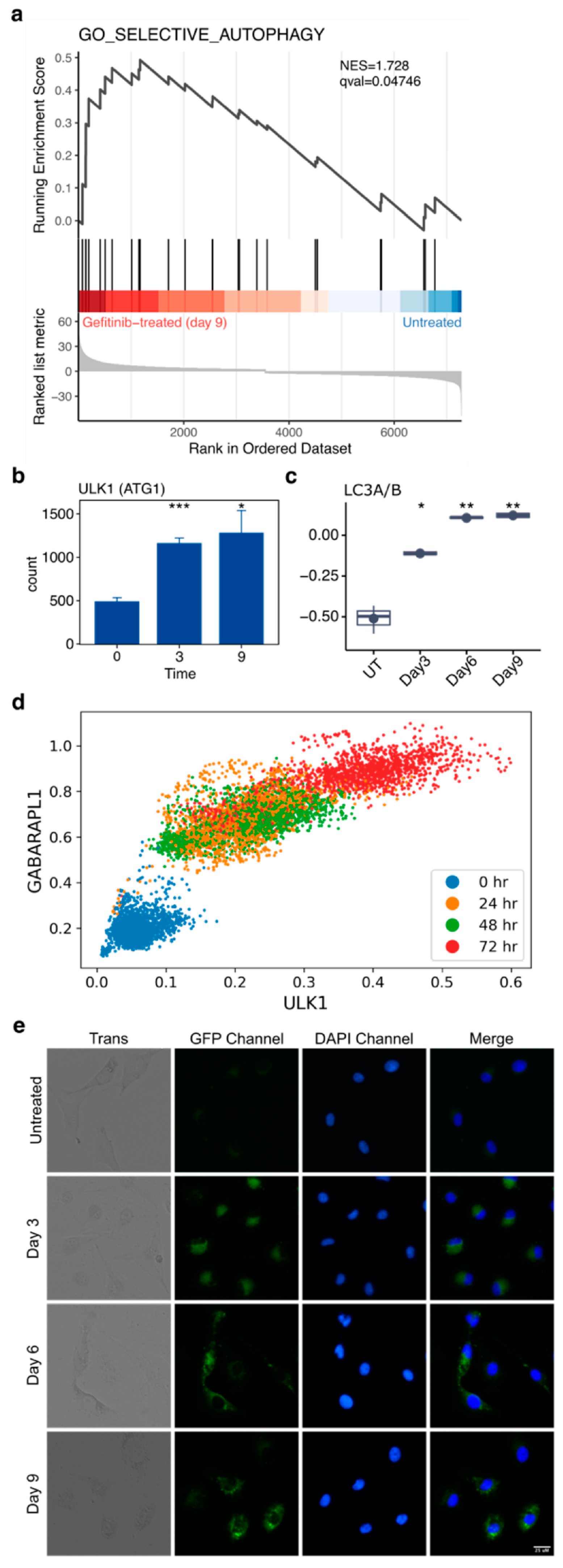 Cancers 16 01001 g006
