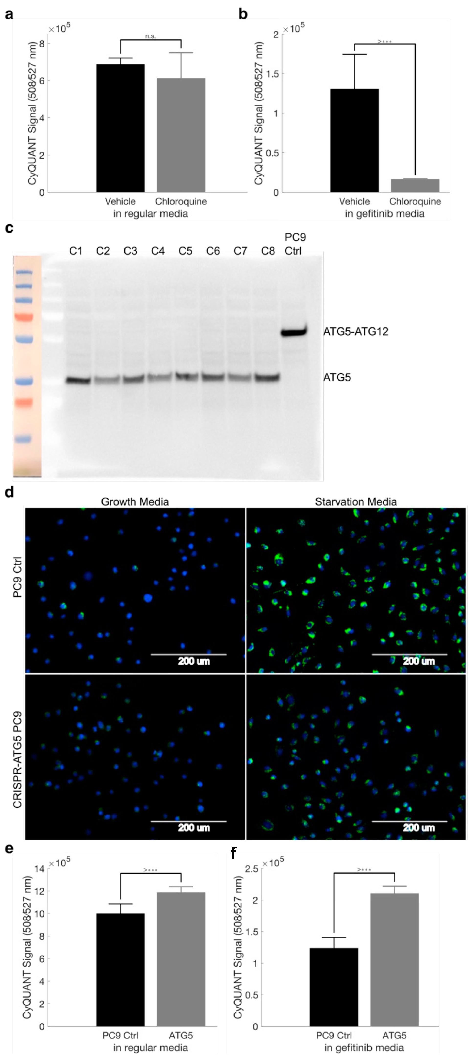 Cancers 16 01001 g007