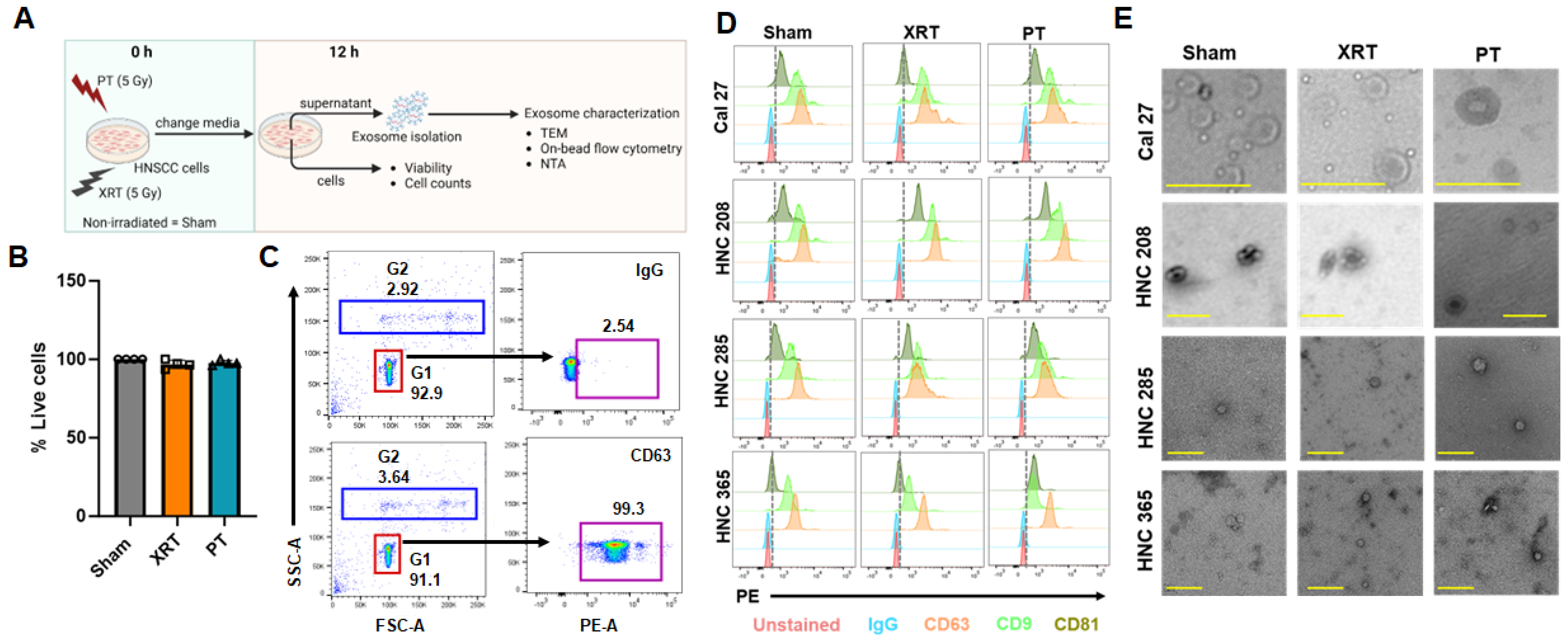 Cancers 16 01008 g001