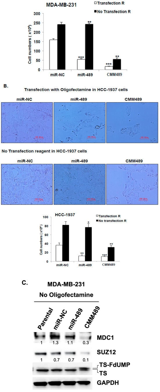 Cancers 16 01010 g004b