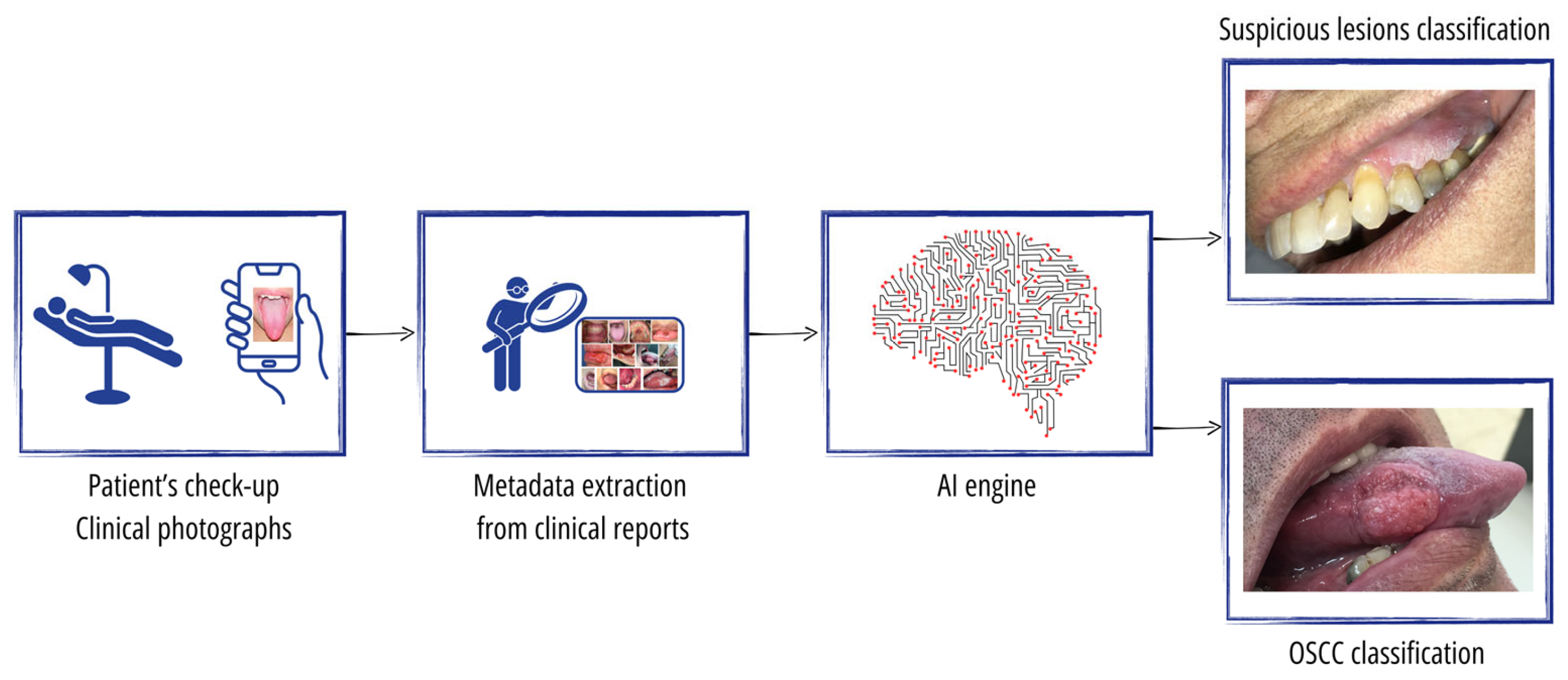 Cancers 16 01019 g001