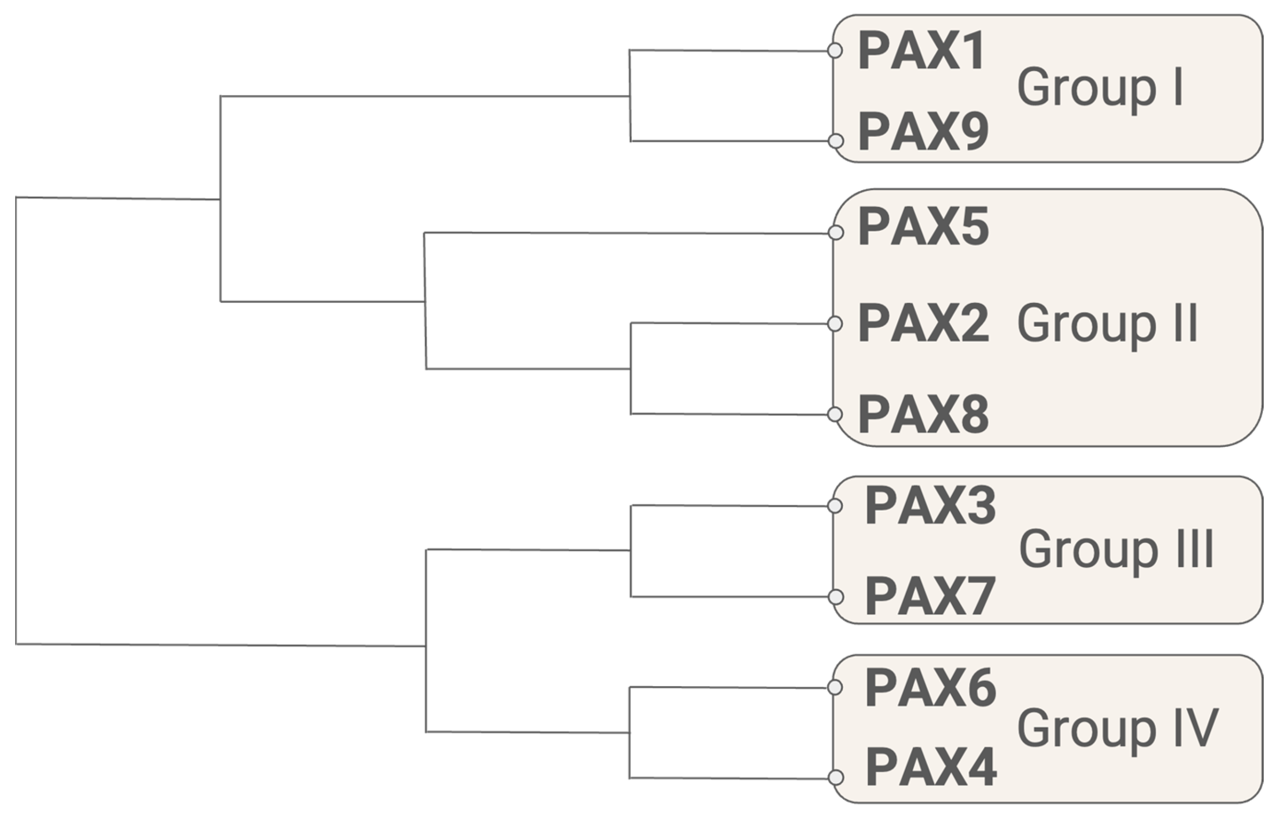 Cancers 16 01022 g001 Cancers 16 01022 g001