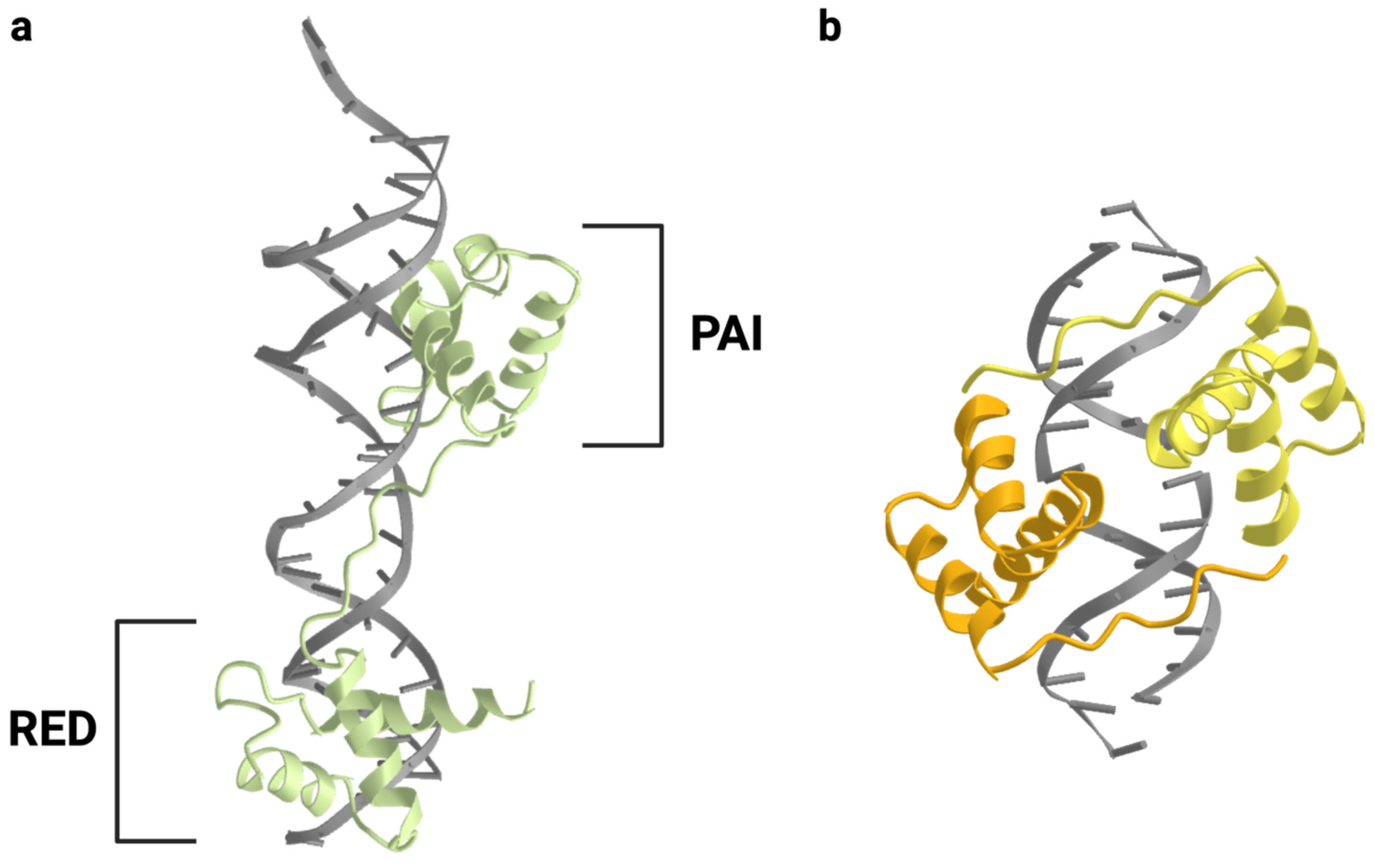 Cancers 16 01022 g003 Cancers 16 01022 g003