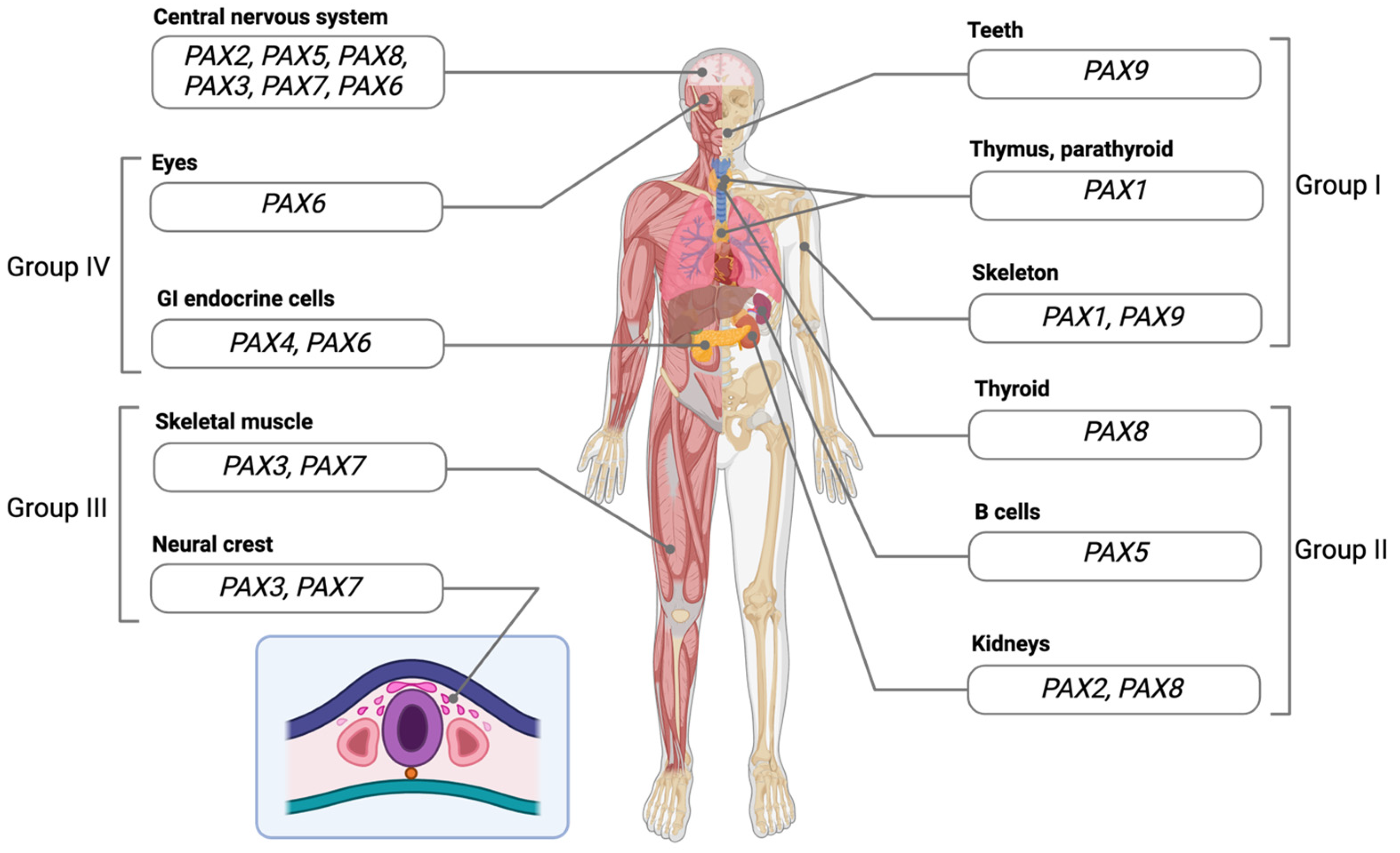 Cancers 16 01022 g004 Cancers 16 01022 g004