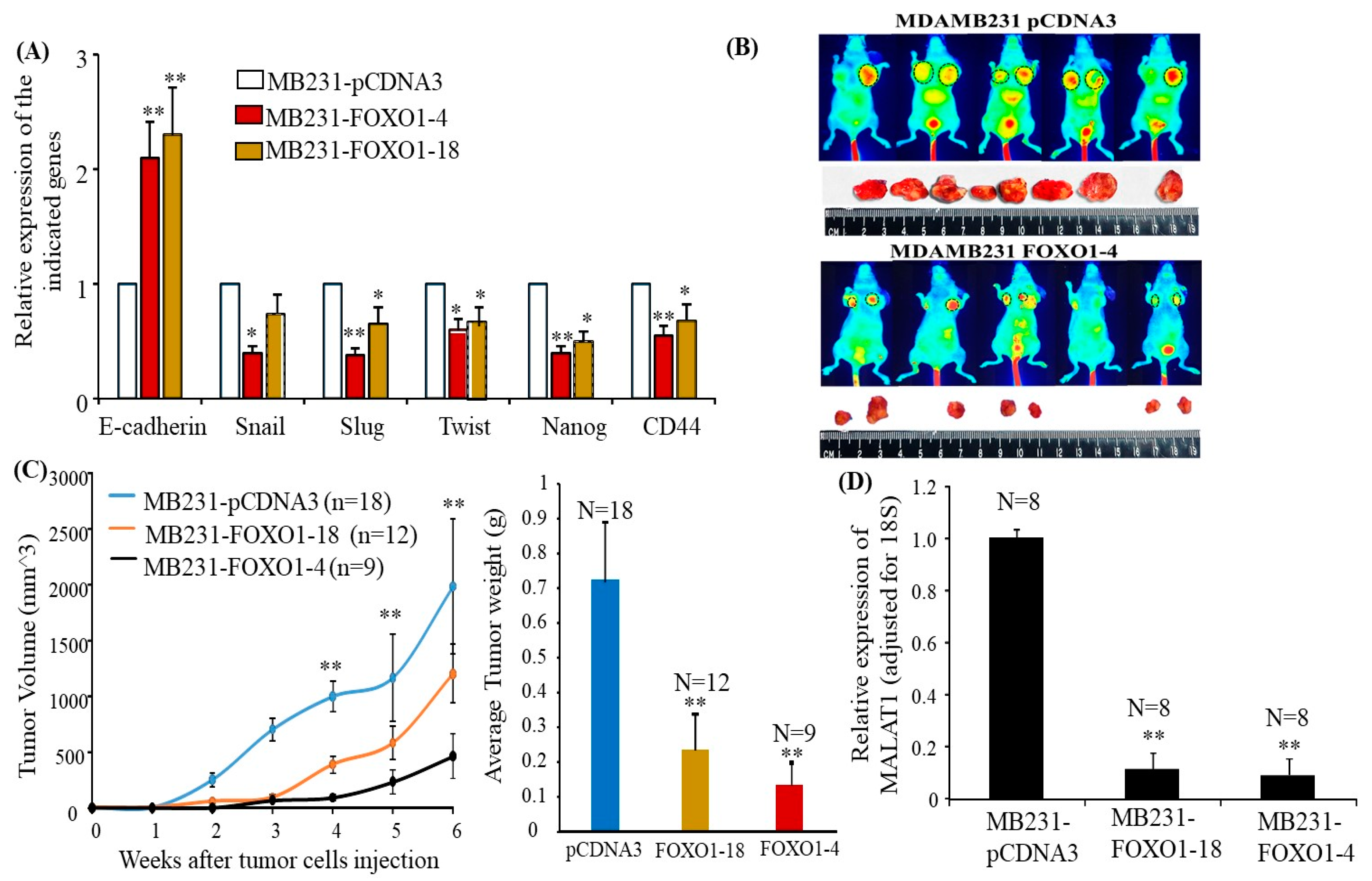 Cancers 16 01026 g006