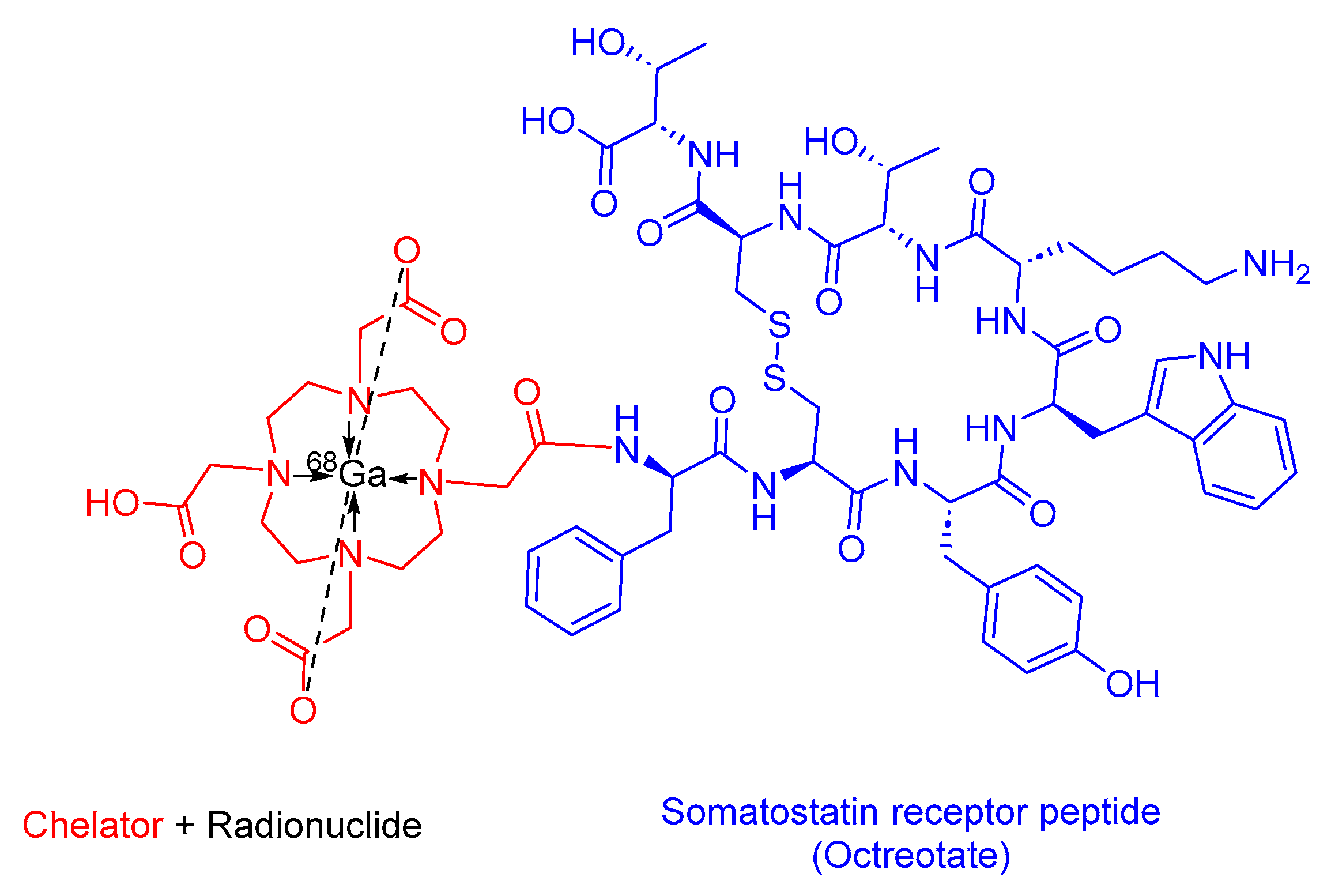 Cancers 16 01032 g009