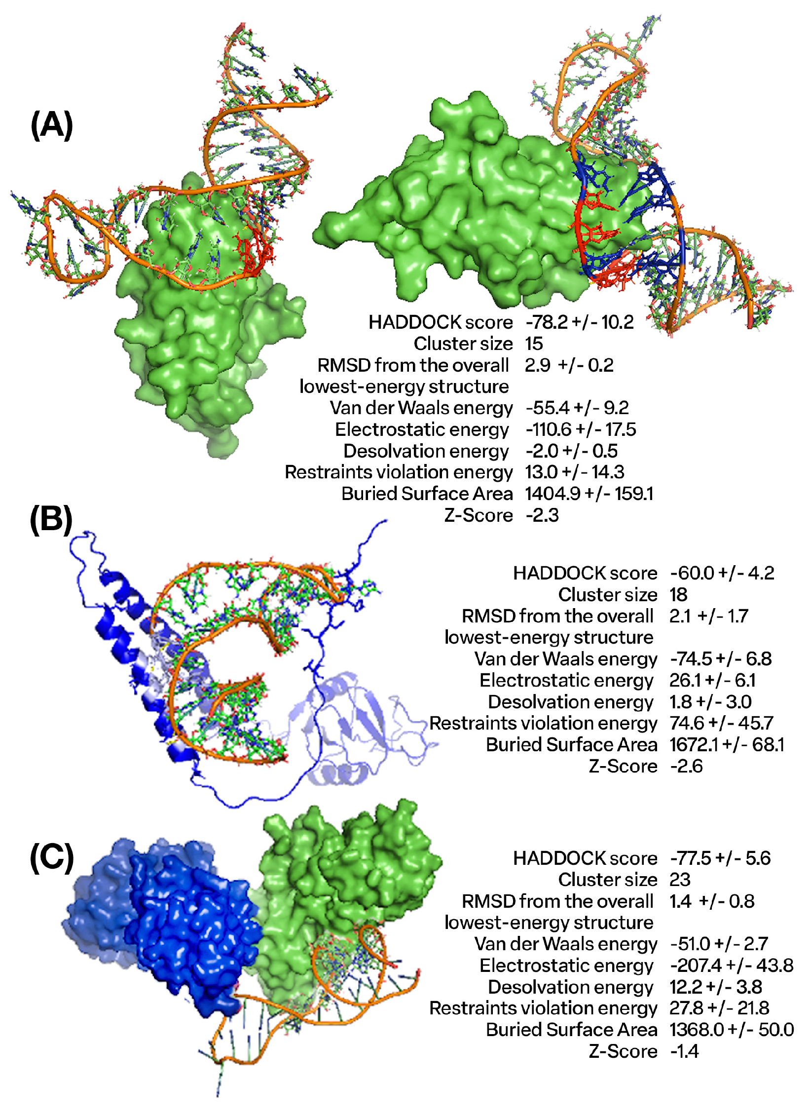 Cancers 16 01041 g001