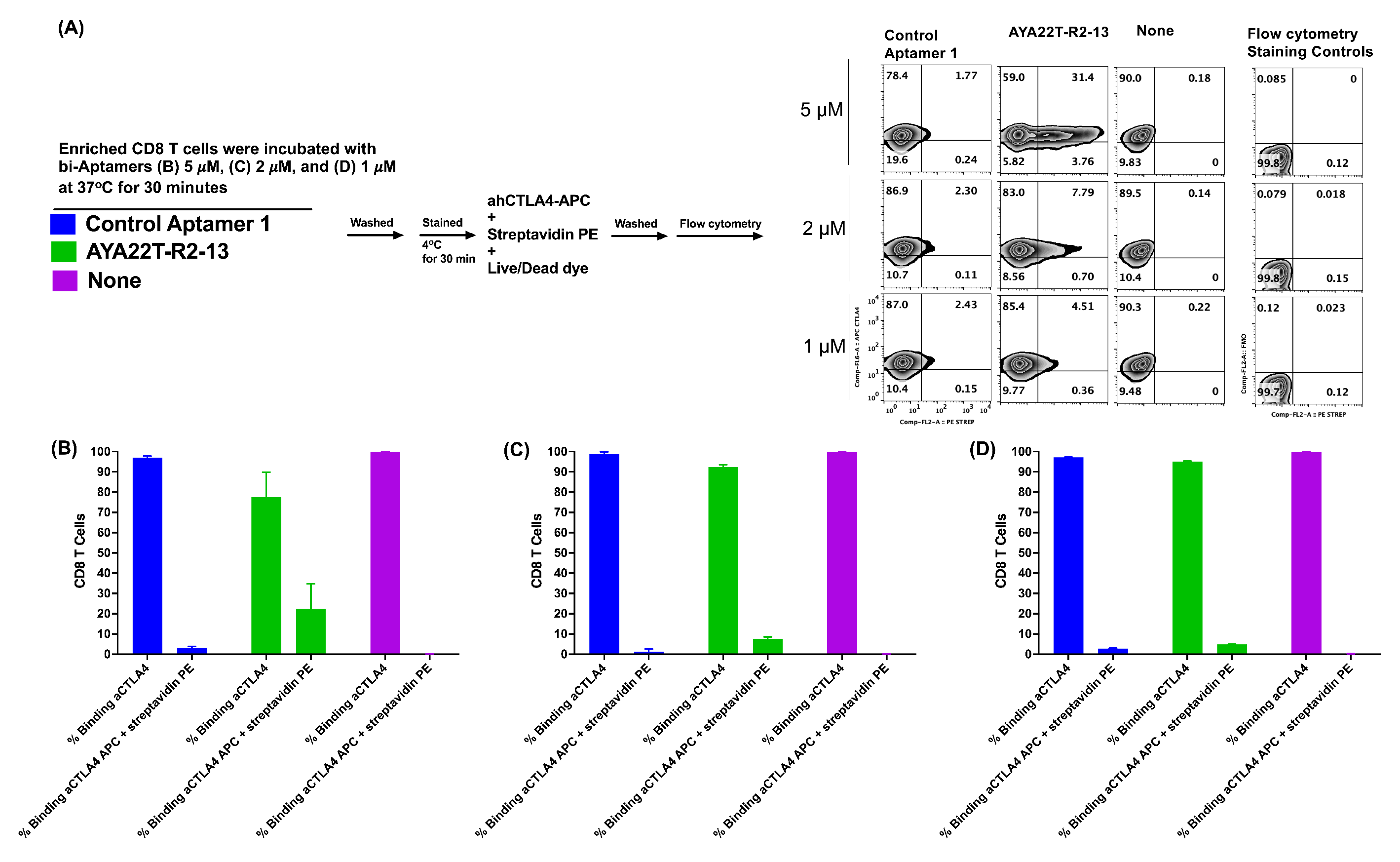 Cancers 16 01041 g006