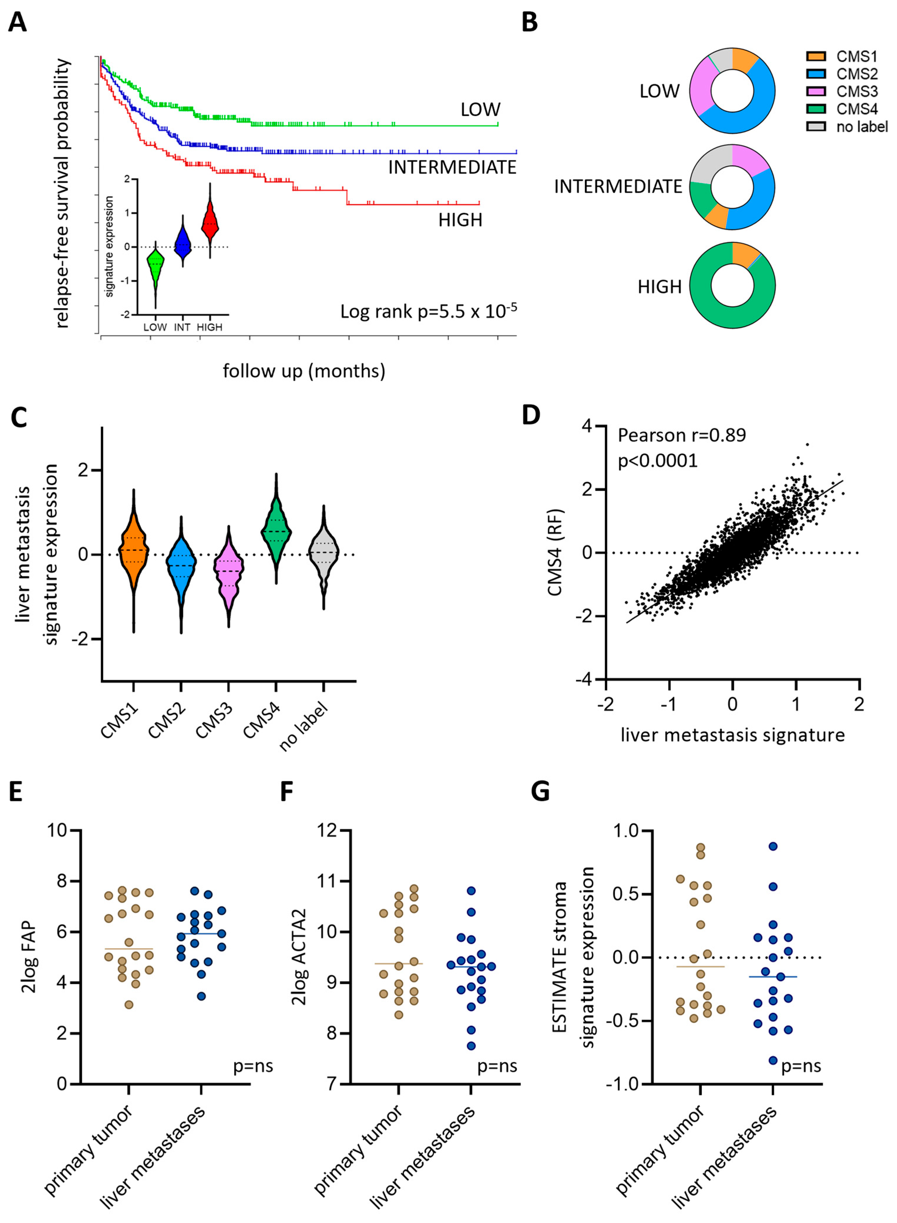 Cancers 16 01073 g006 Cancers 16 01073 g006