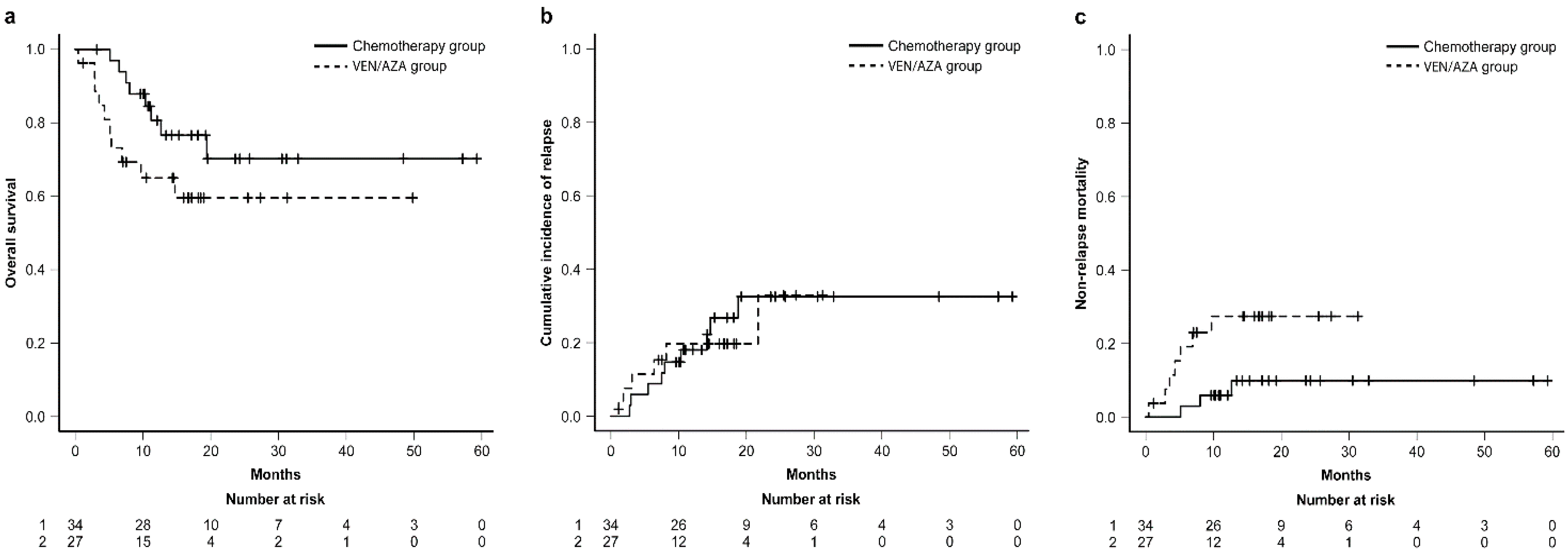 Cancers 16 01082 g001