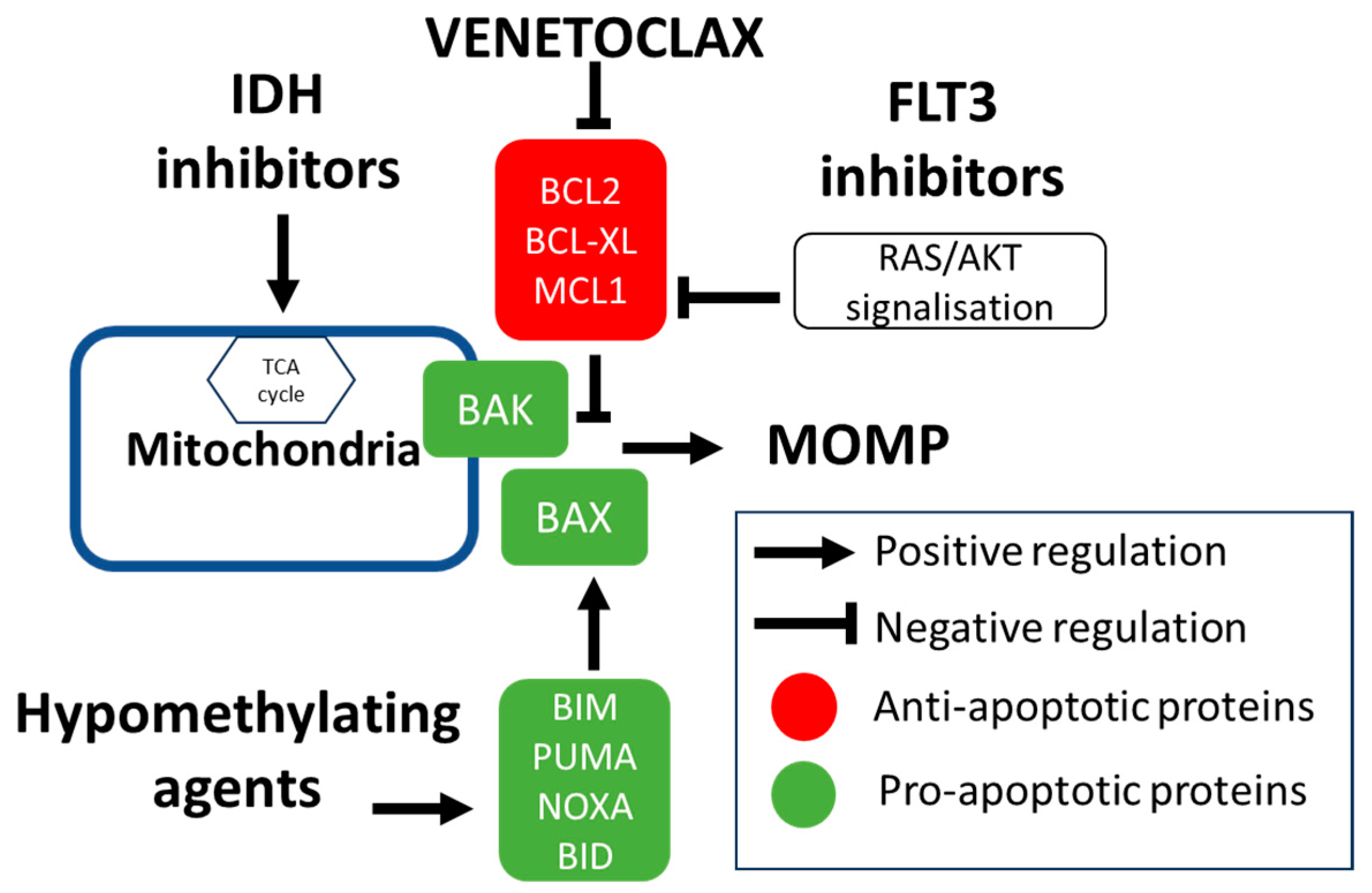 Cancers 16 01091 g003