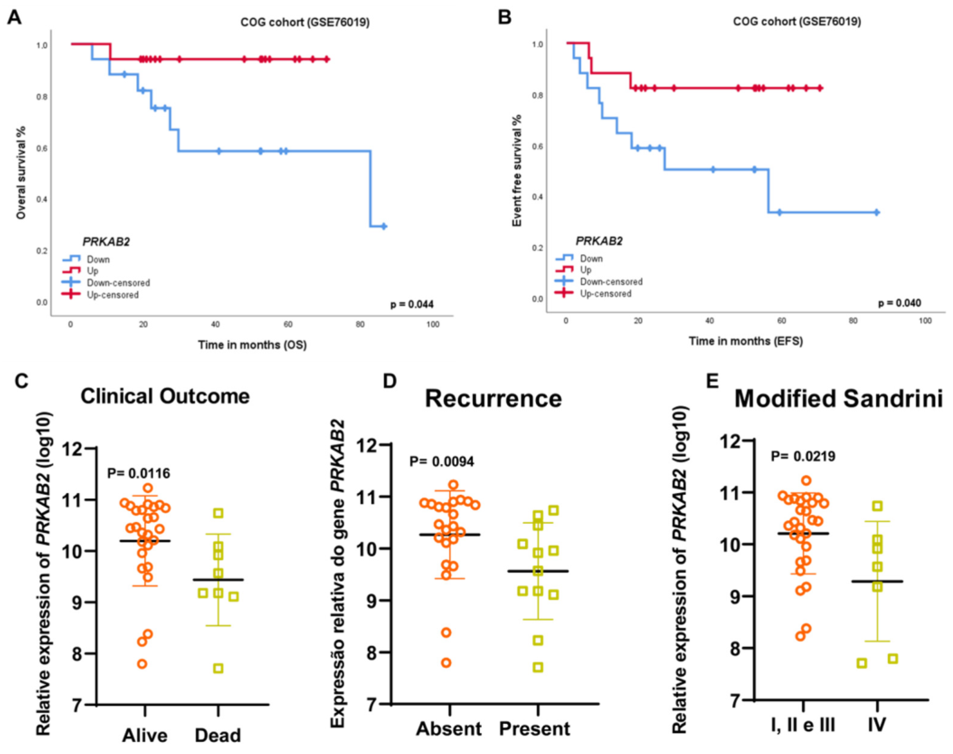 Cancers 16 01094 g002