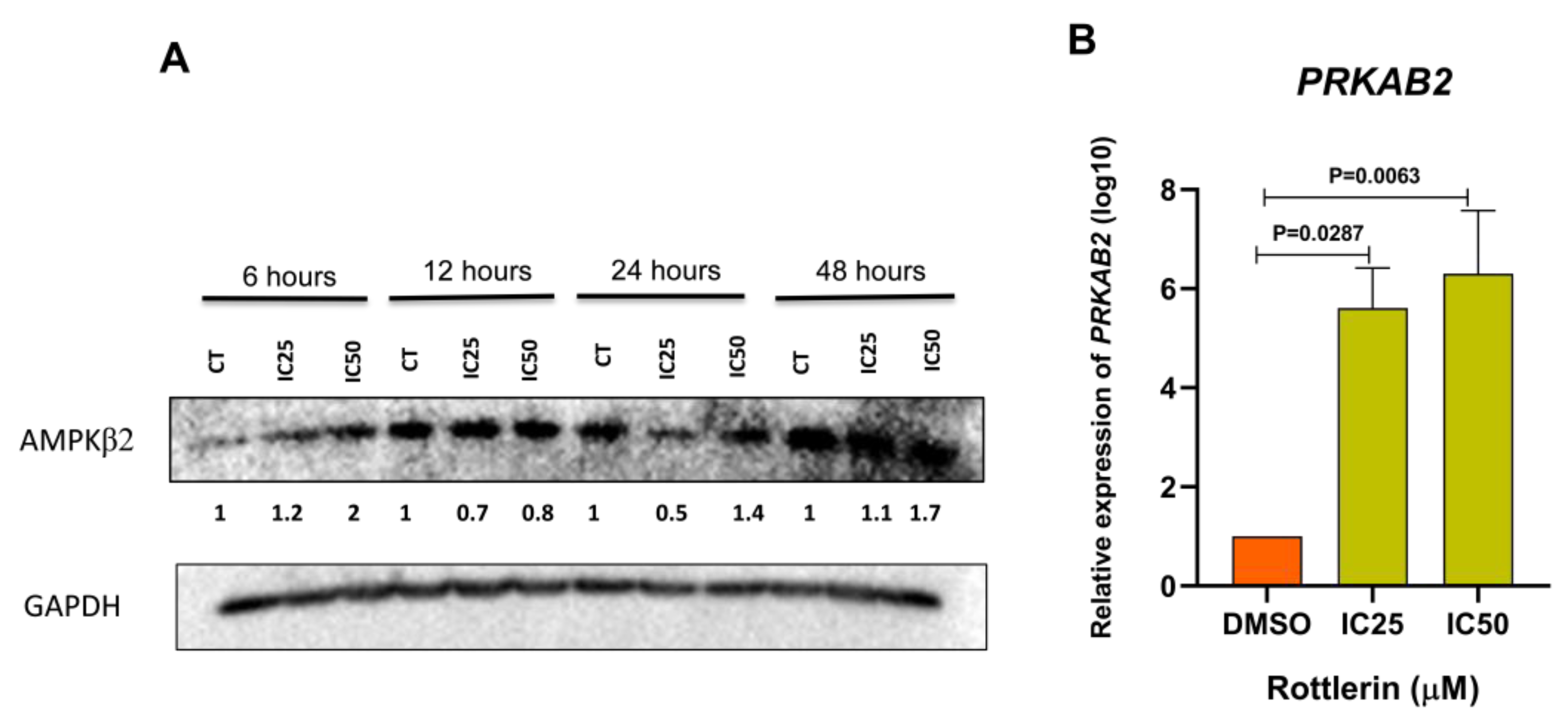 Cancers 16 01094 g005