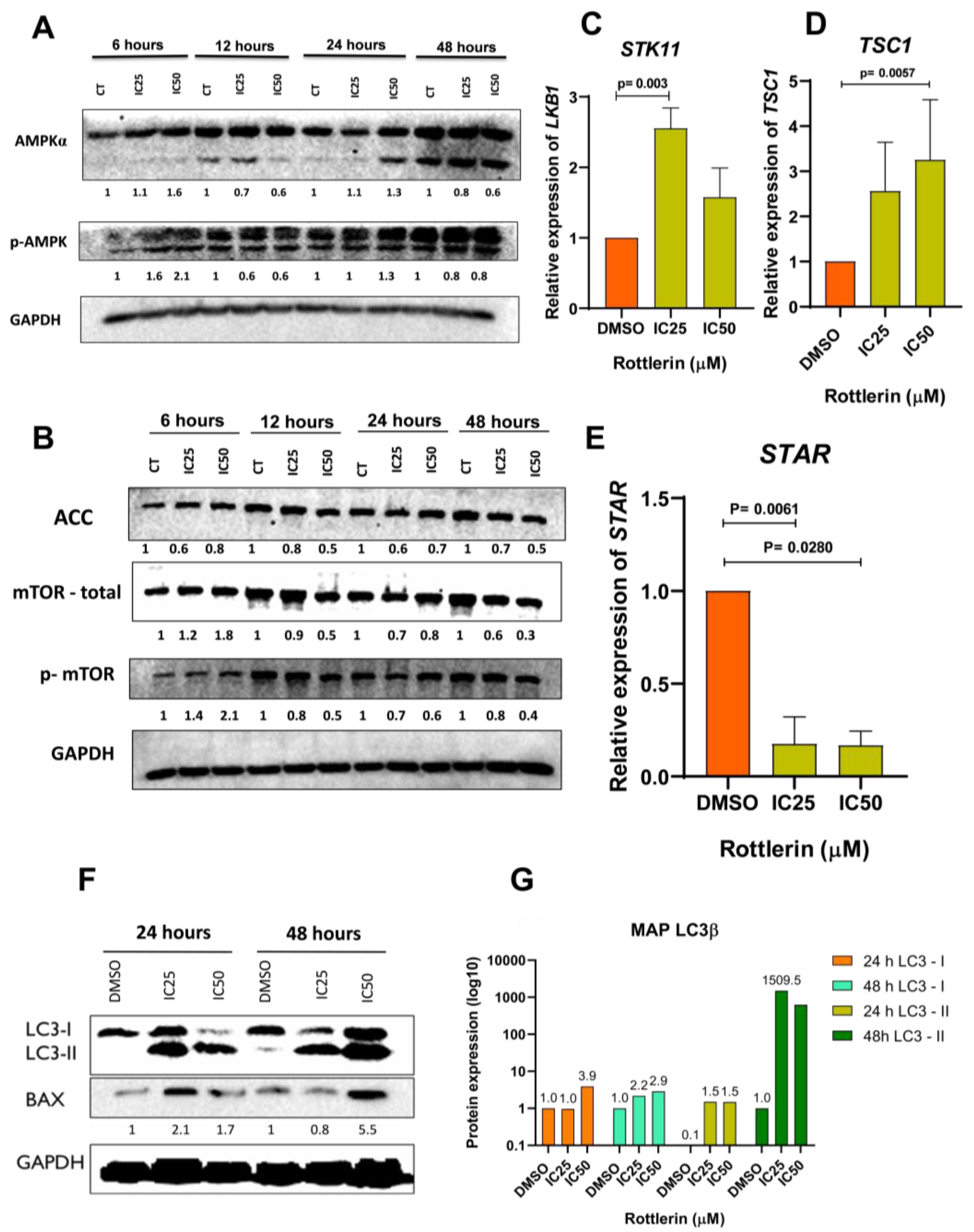 Cancers 16 01094 g006