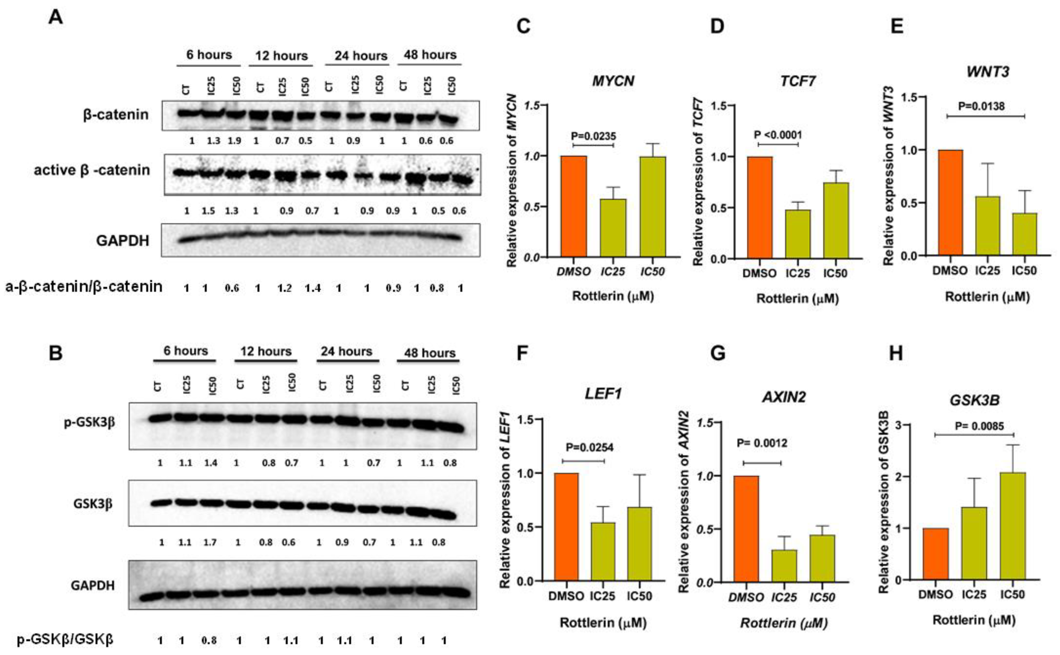 Cancers 16 01094 g008