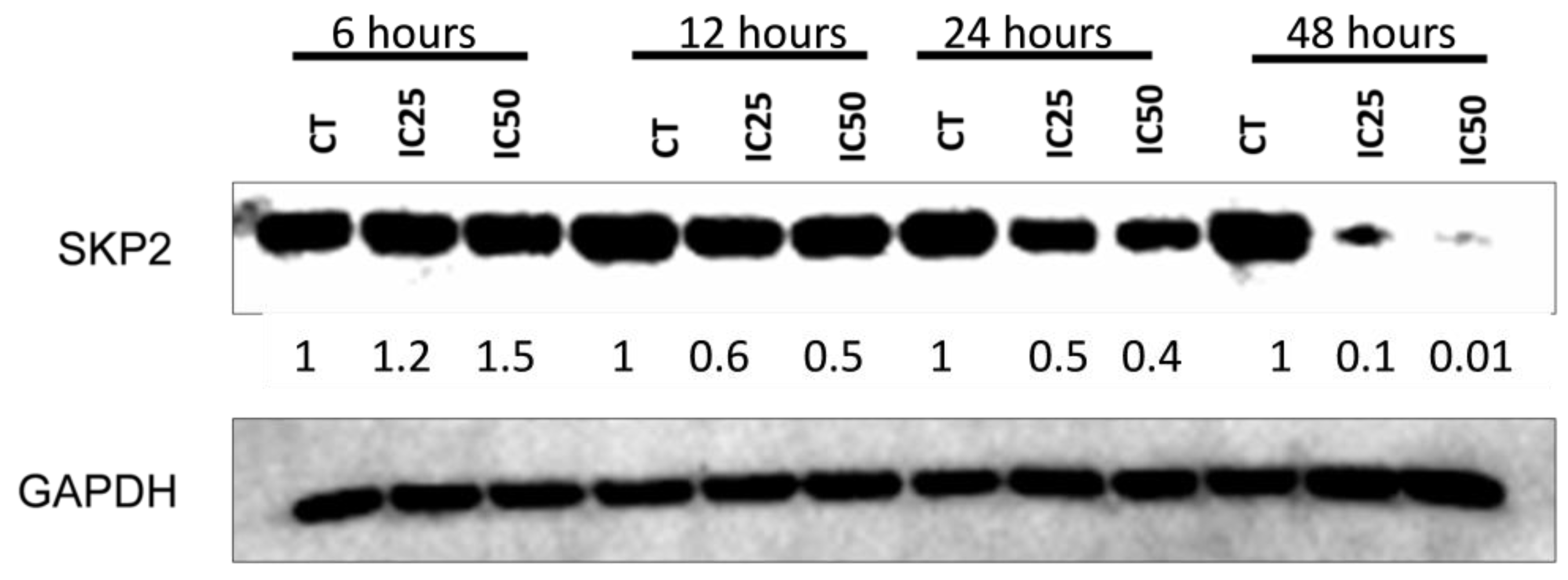 Cancers 16 01094 g009