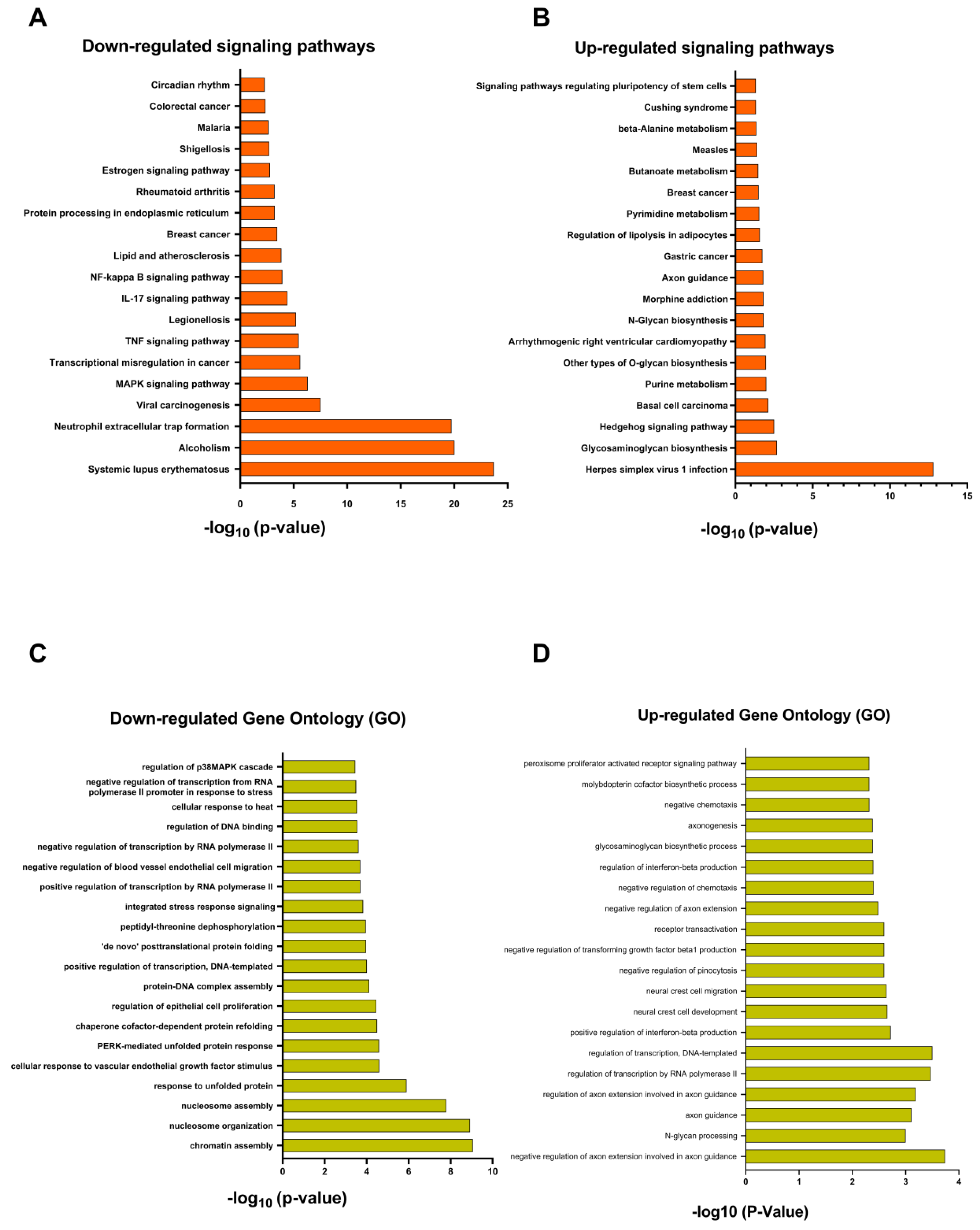 Cancers 16 01094 g010