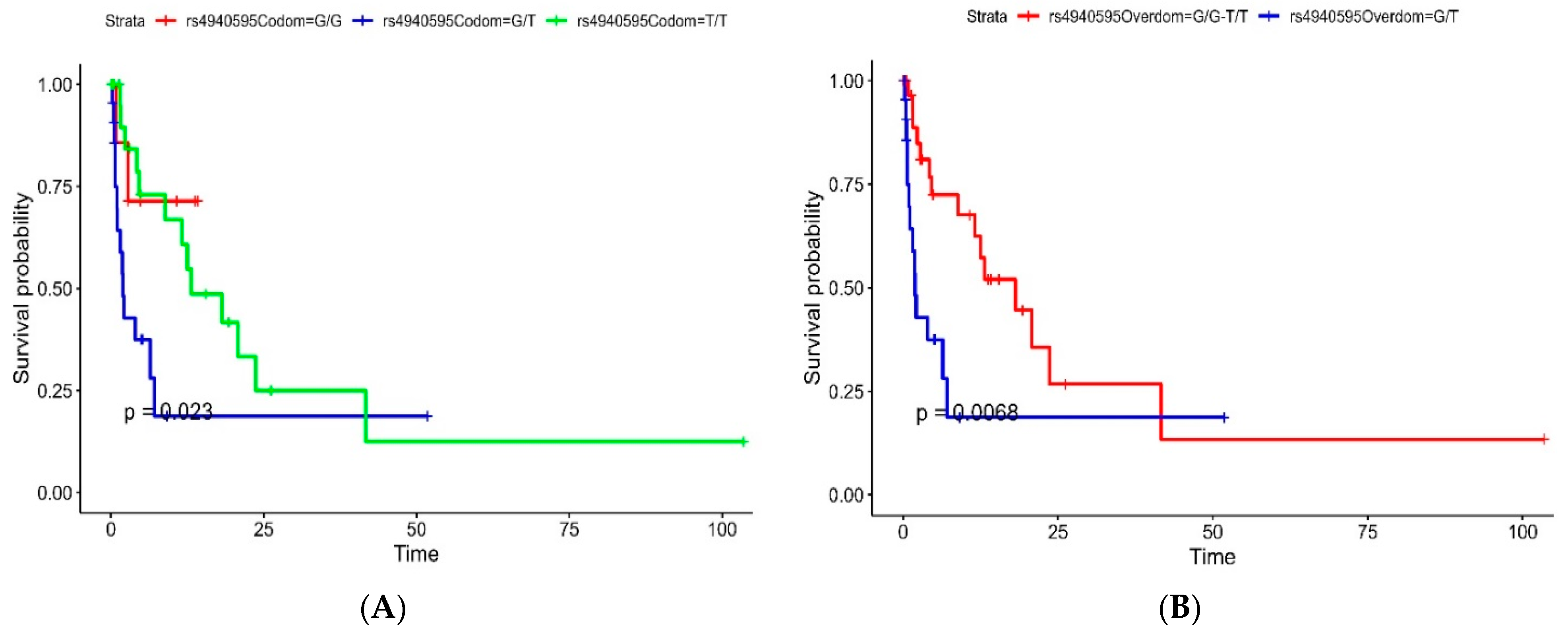 Cancers 16 01112 g001