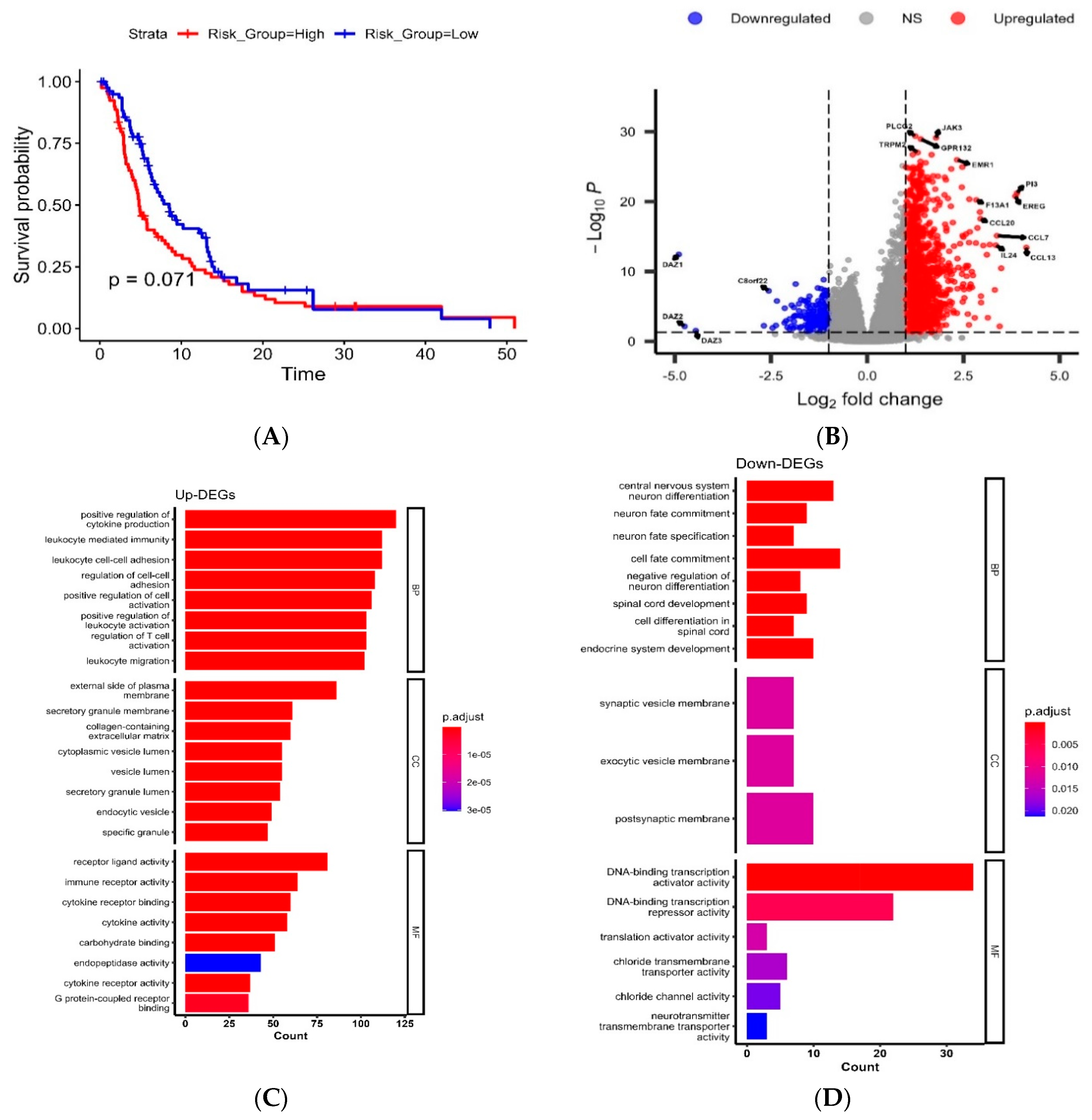 Cancers 16 01112 g002