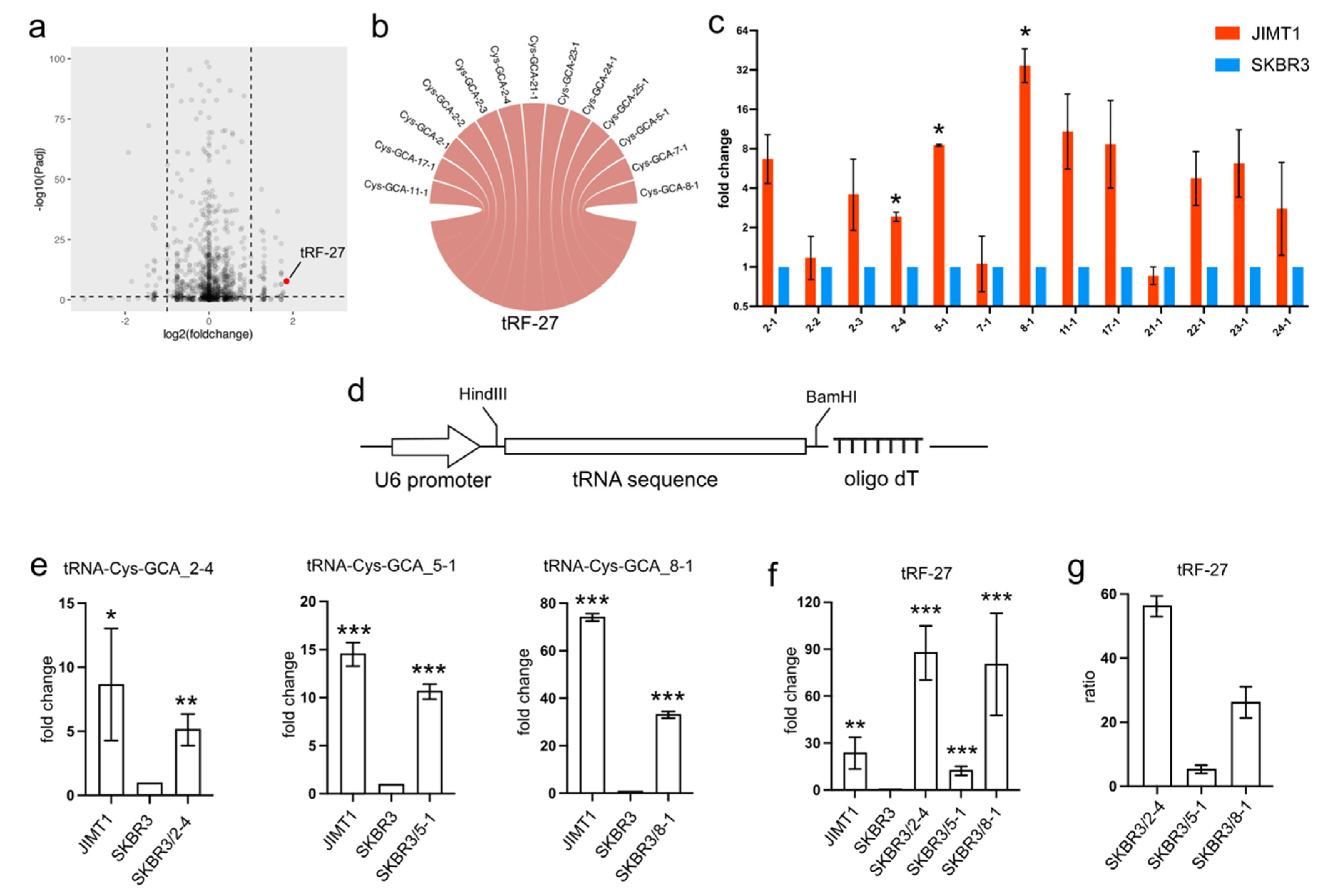 Cancers 16 01118 g001