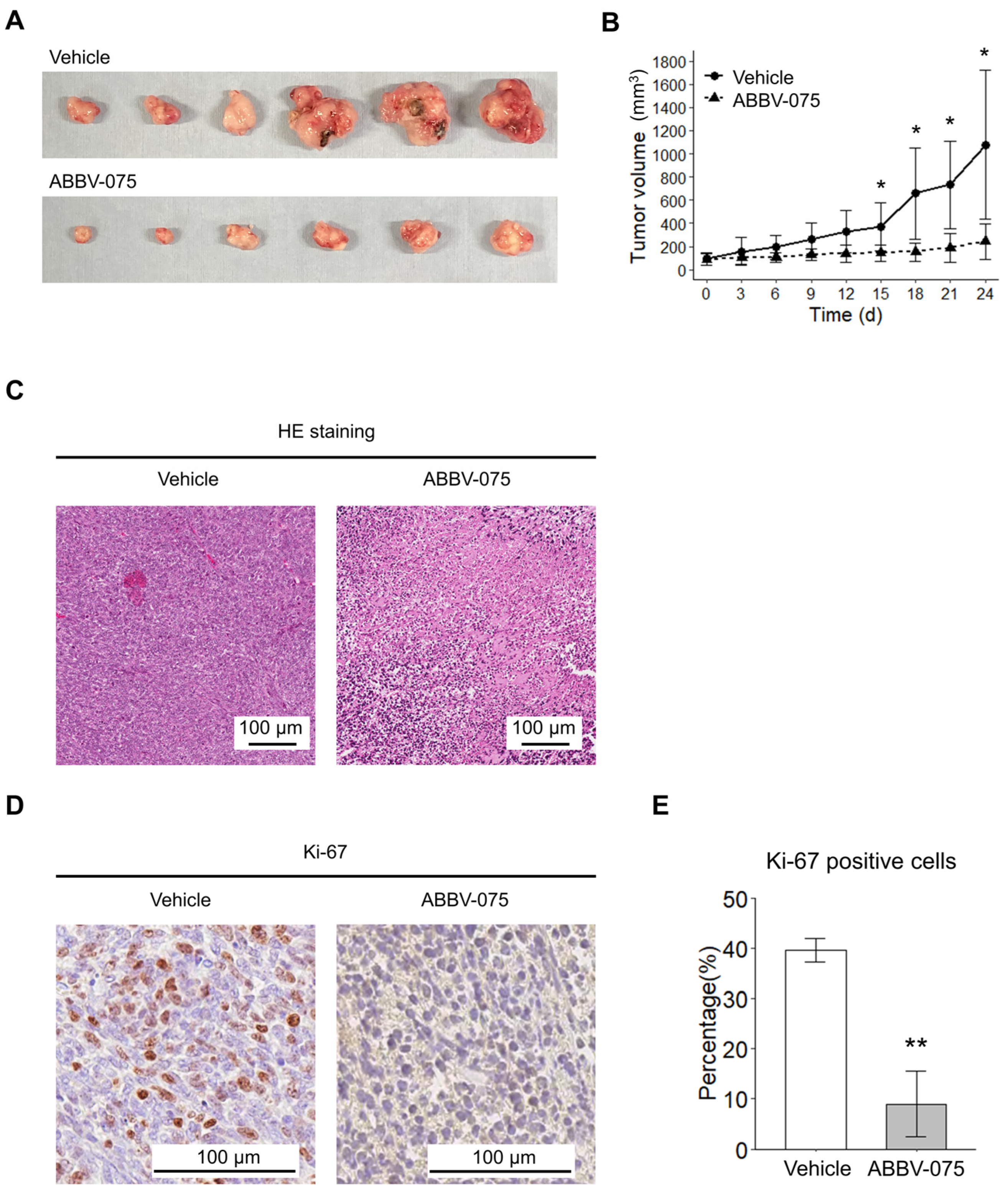 Cancers 16 01125 g002