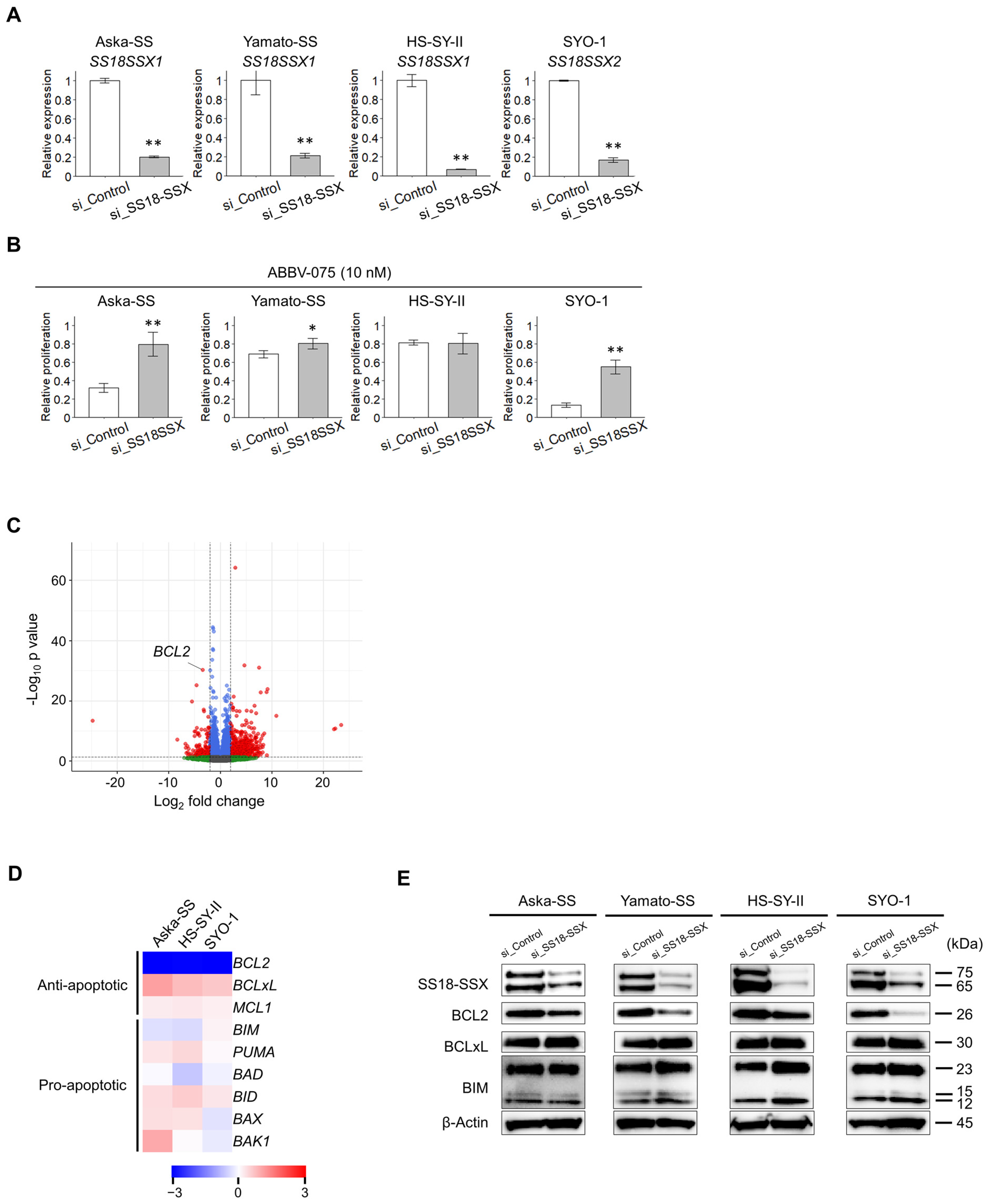 Cancers 16 01125 g005