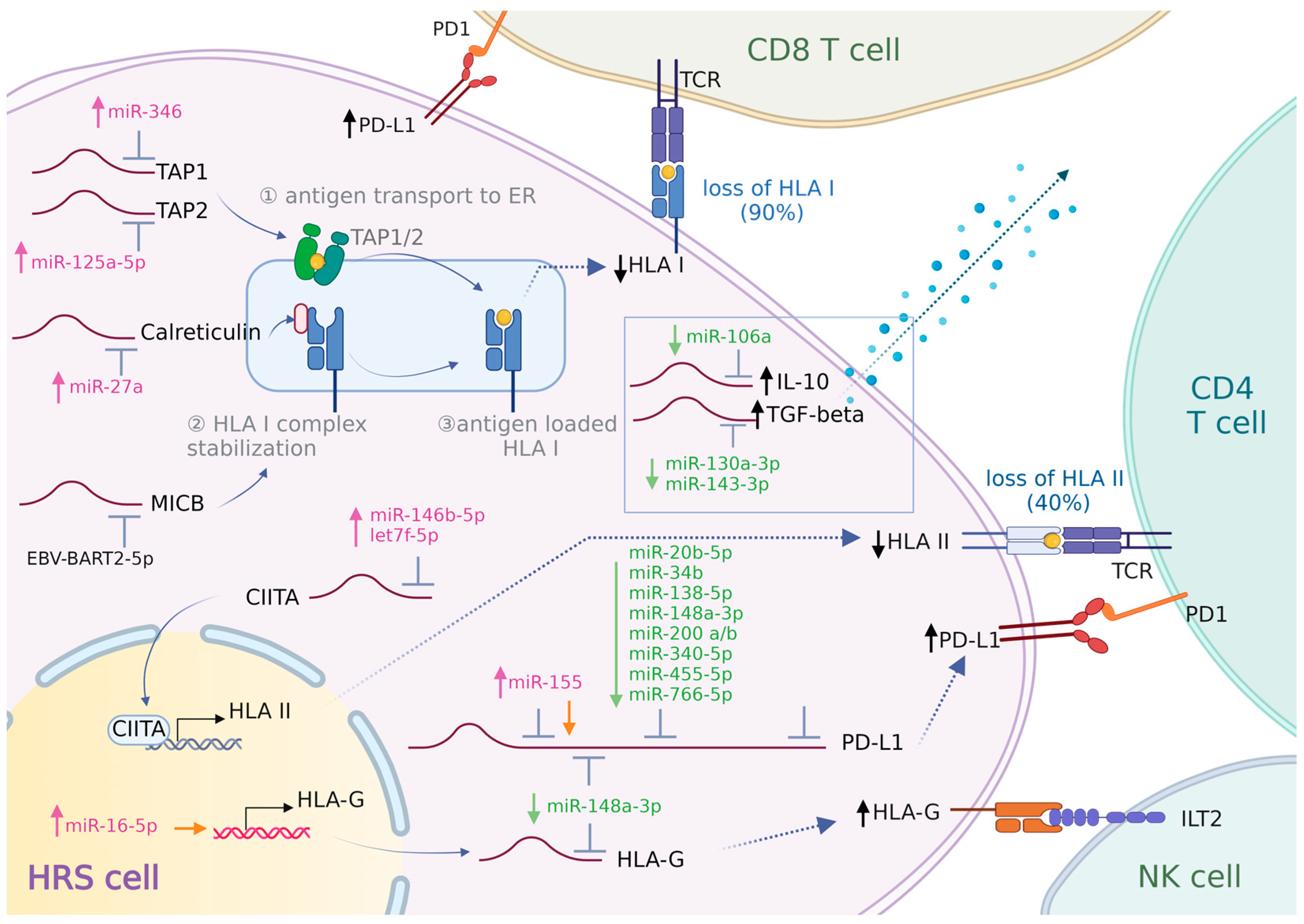 Cancers 16 01126 g001