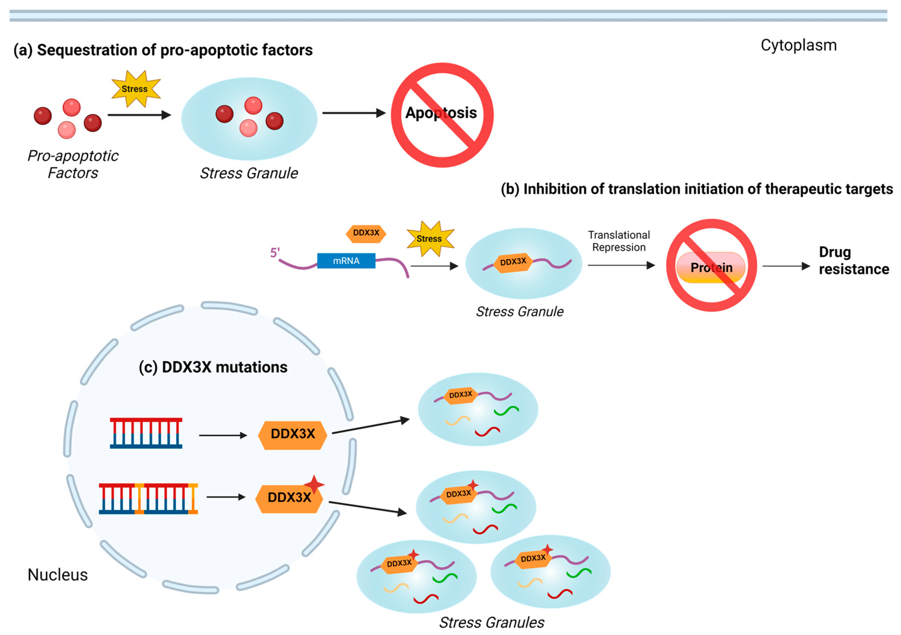 Cancers 16 01131 g004