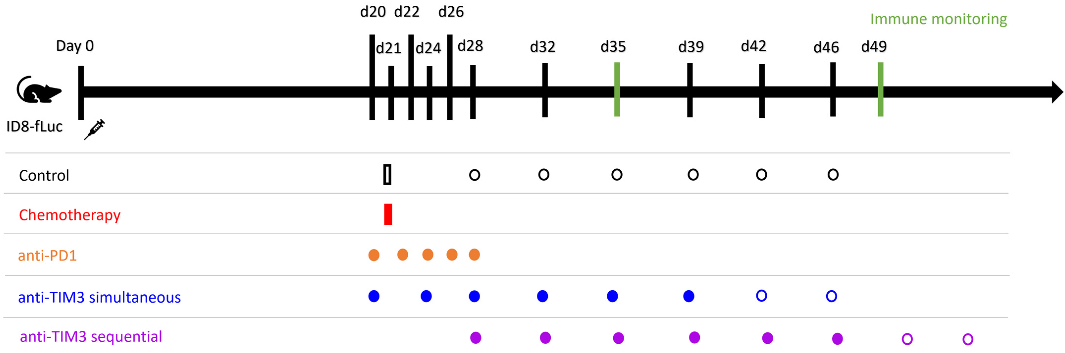 Cancers 16 01147 g002