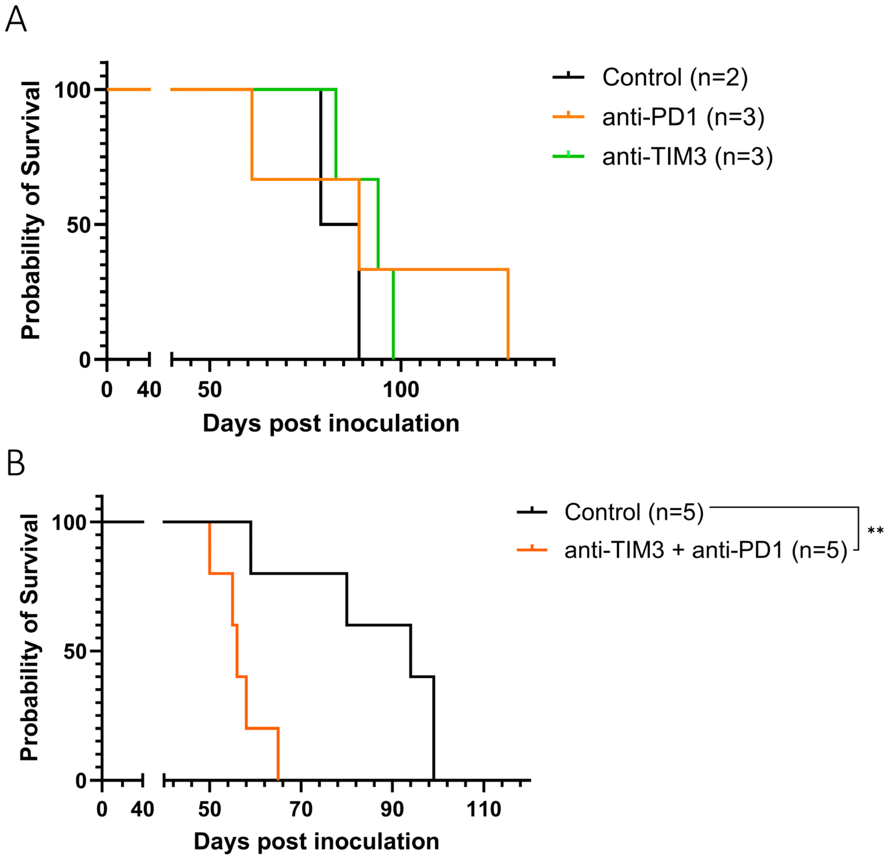 Cancers 16 01147 g003