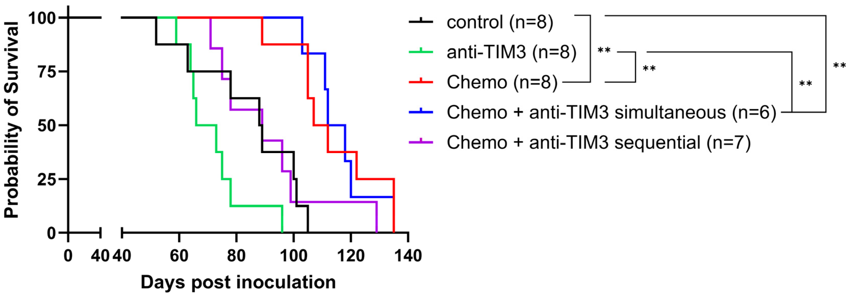 Cancers 16 01147 g005
