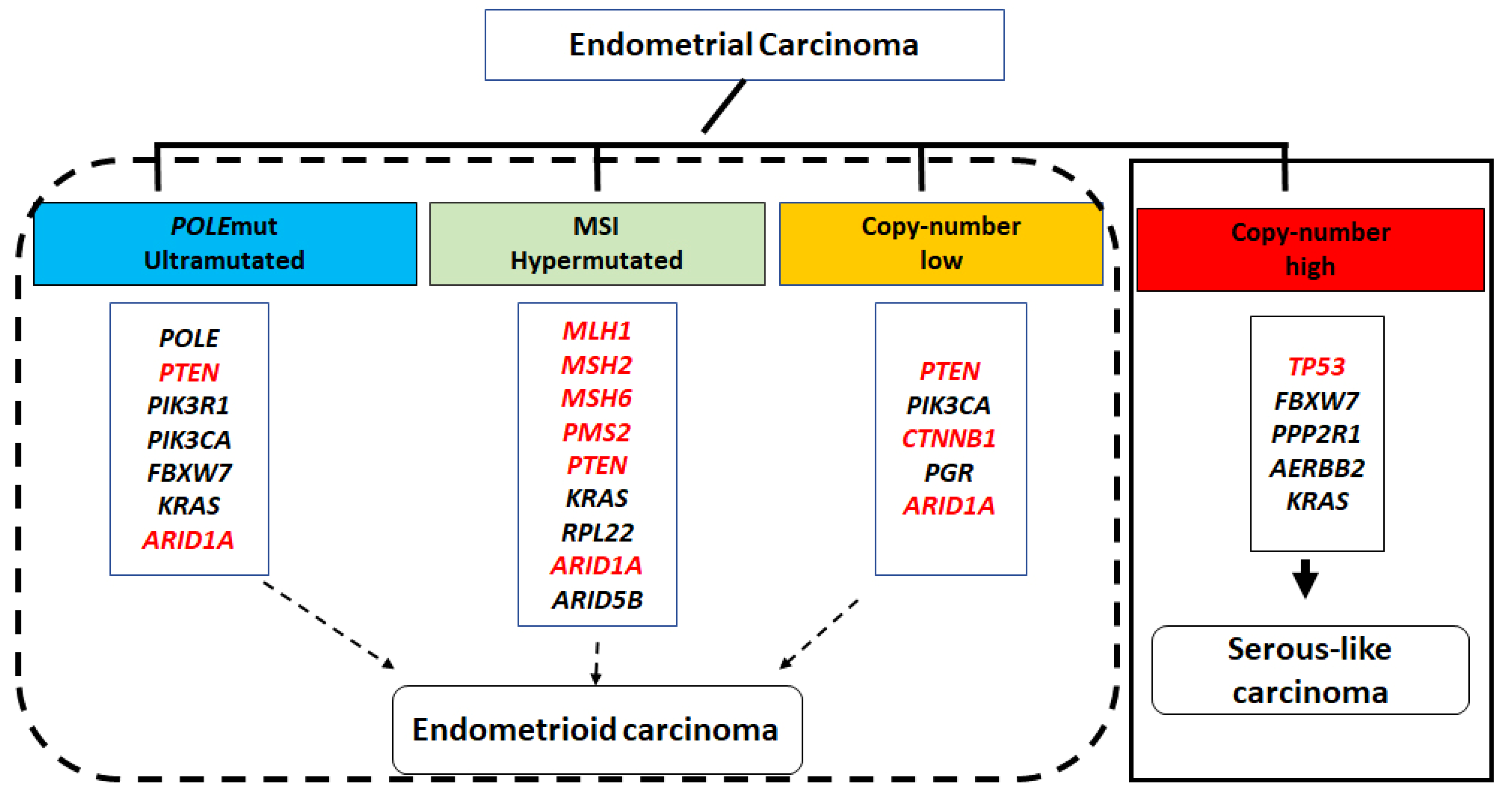 Cancers 16 01159 g001