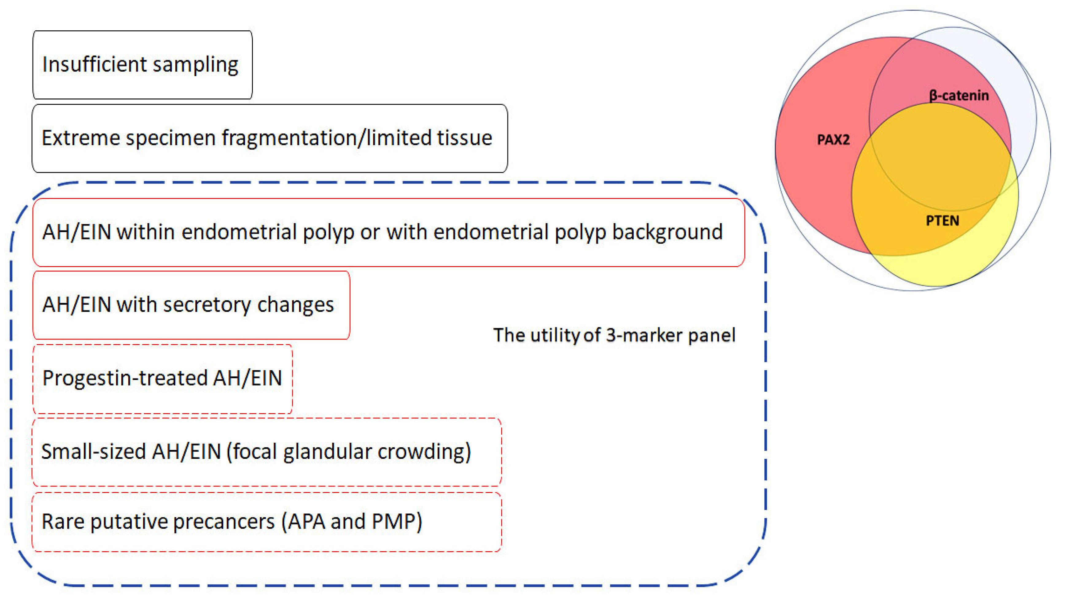 Cancers 16 01159 g004
