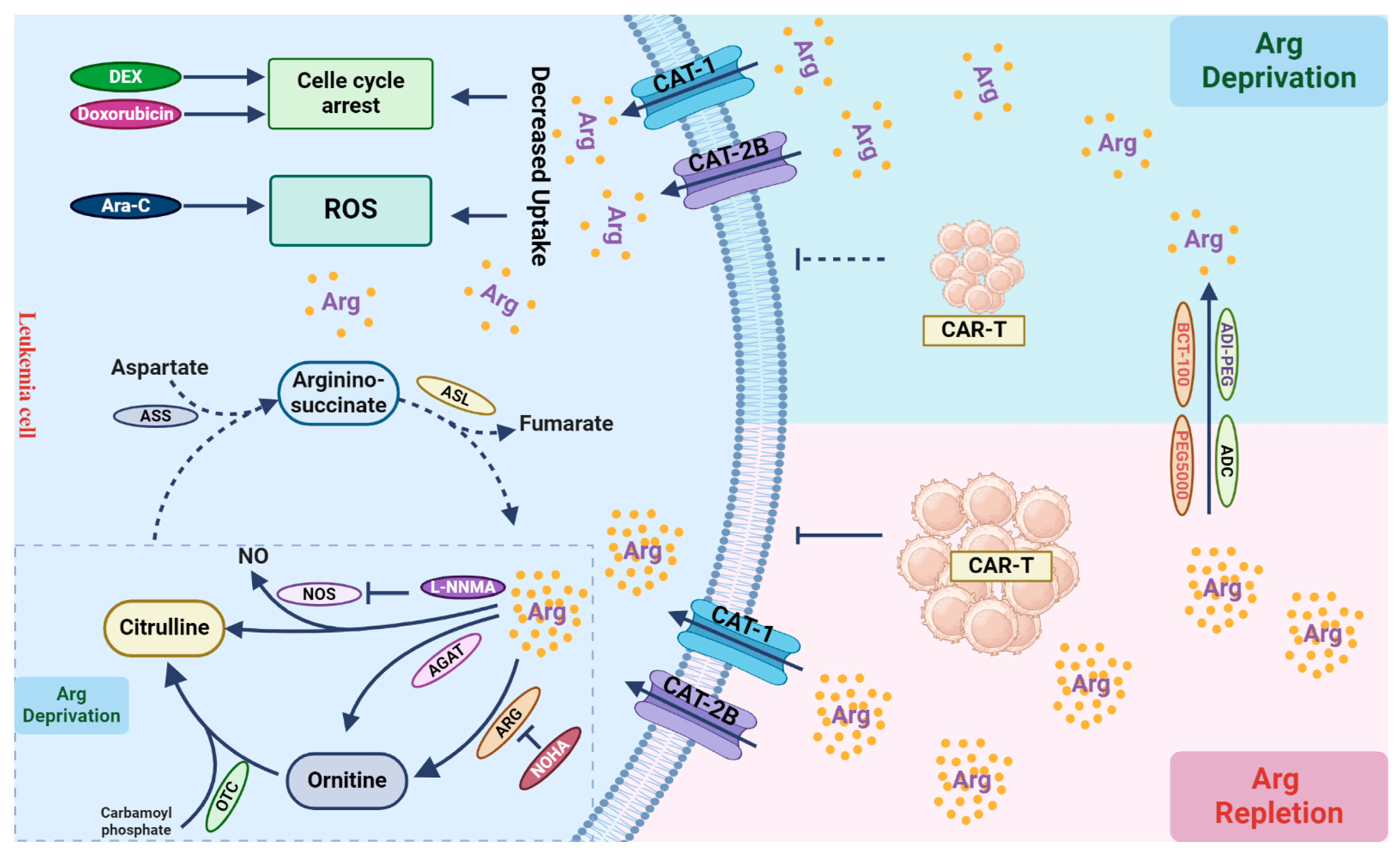 Cancers 16 01171 g003