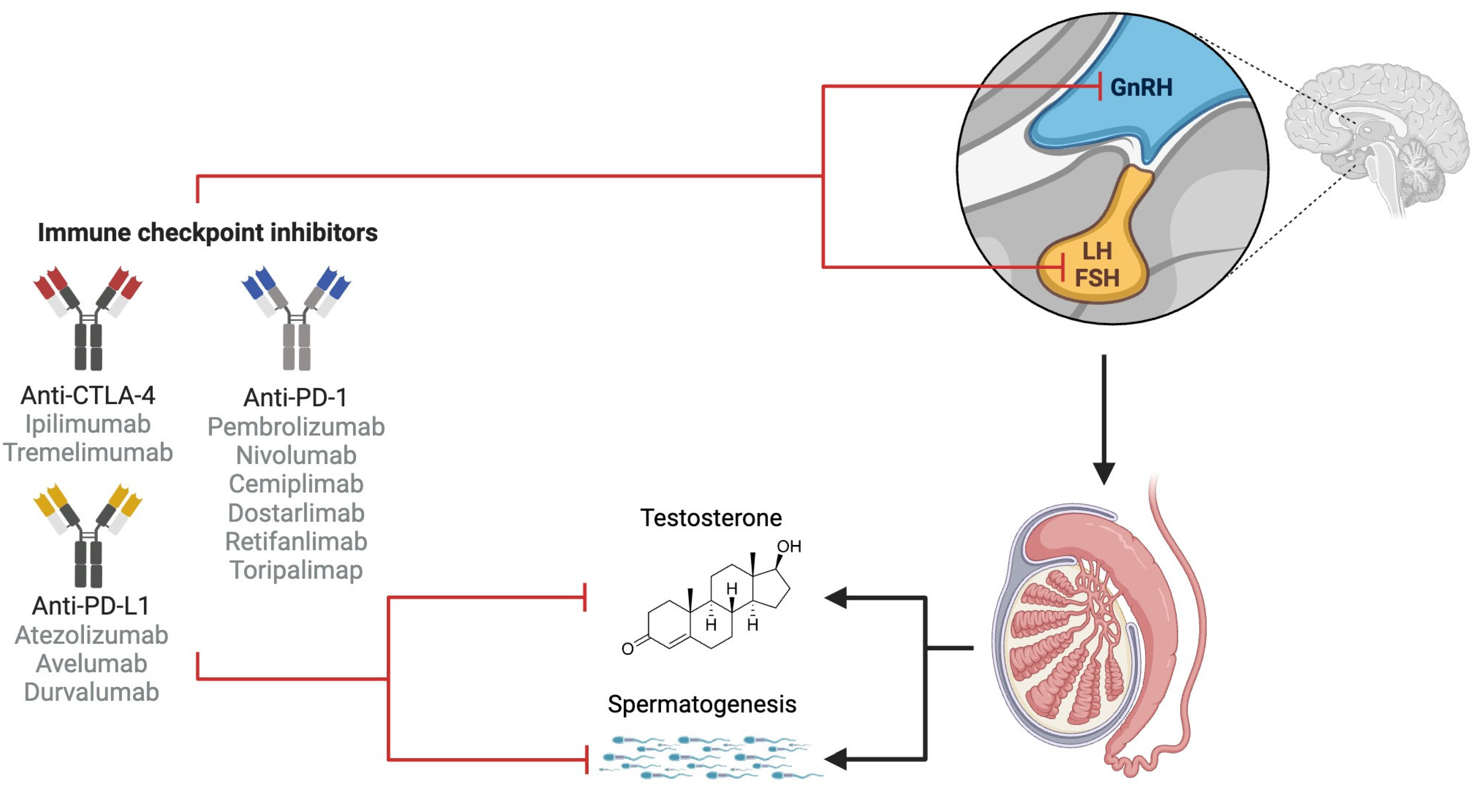 Cancers 16 01176 g001