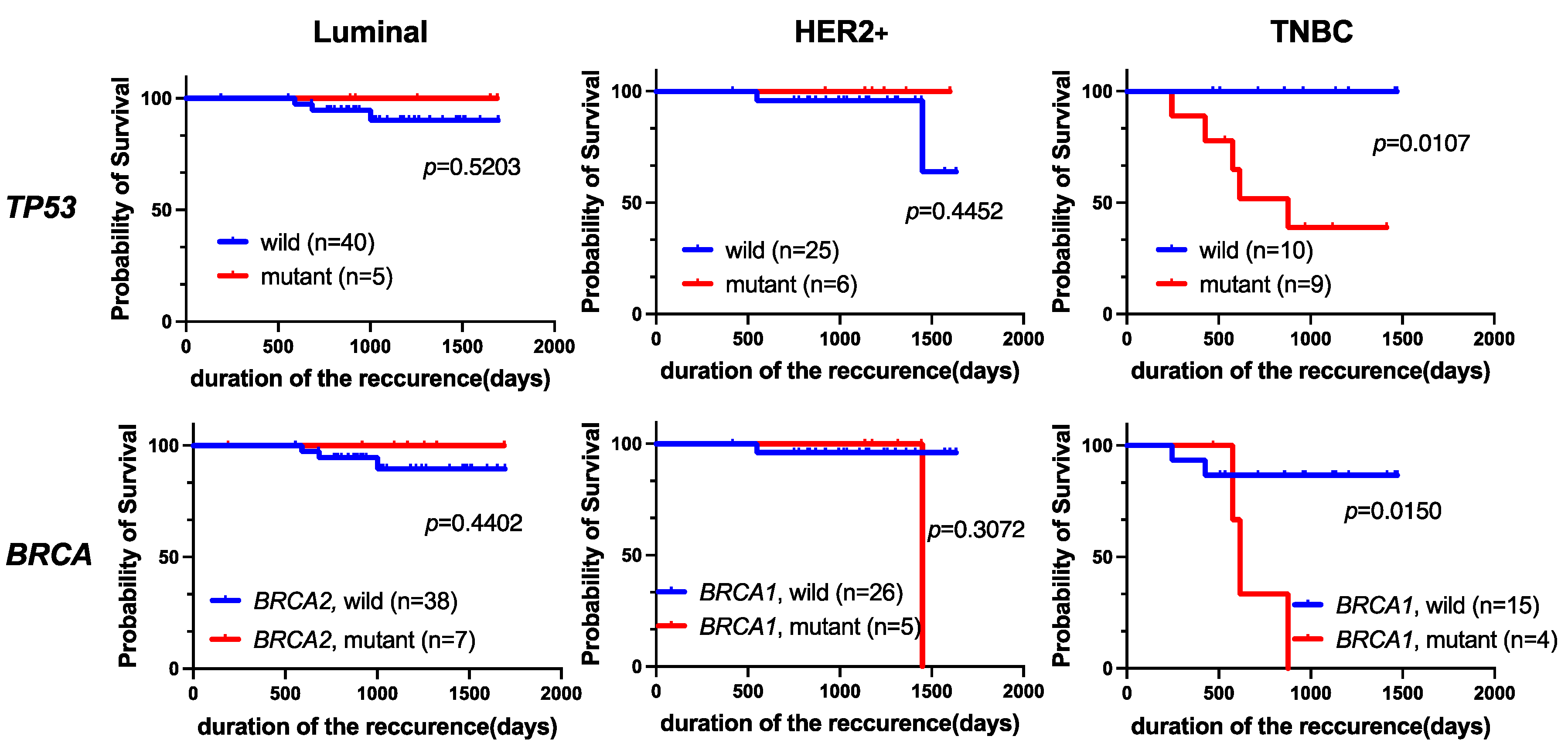 Cancers 16 01184 g006 Cancers 16 01184 g006