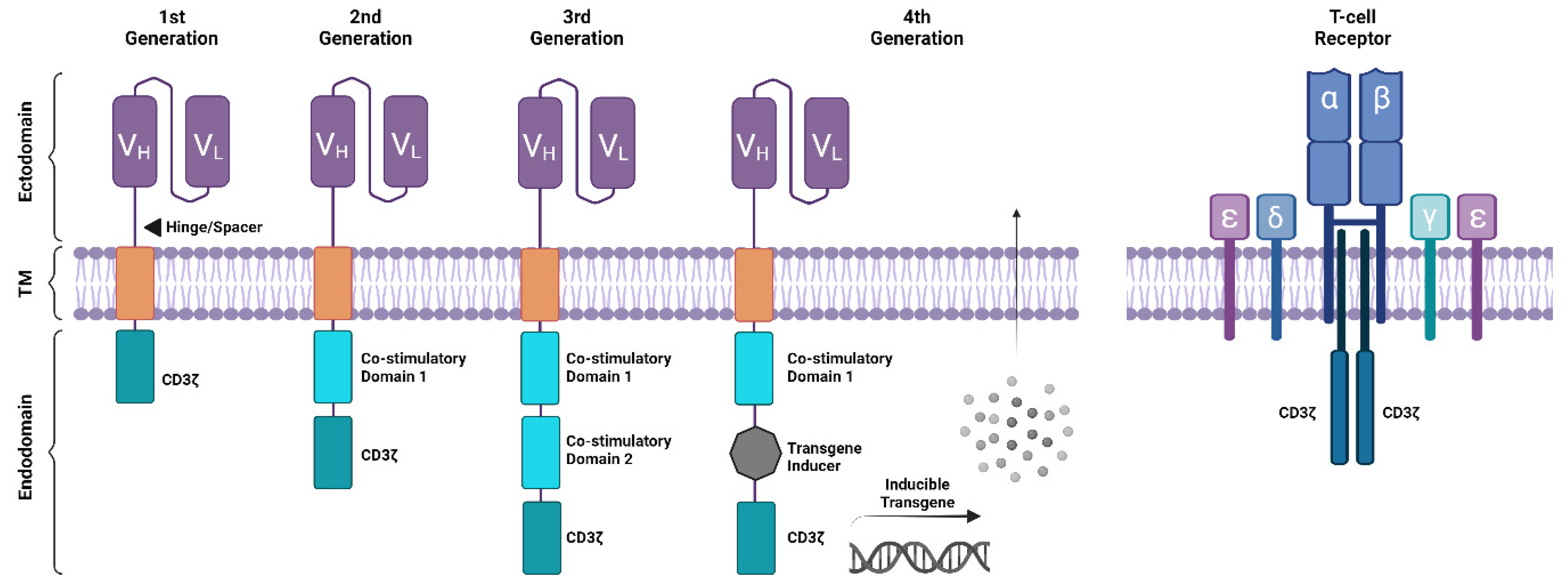 Cancers 16 01209 g002