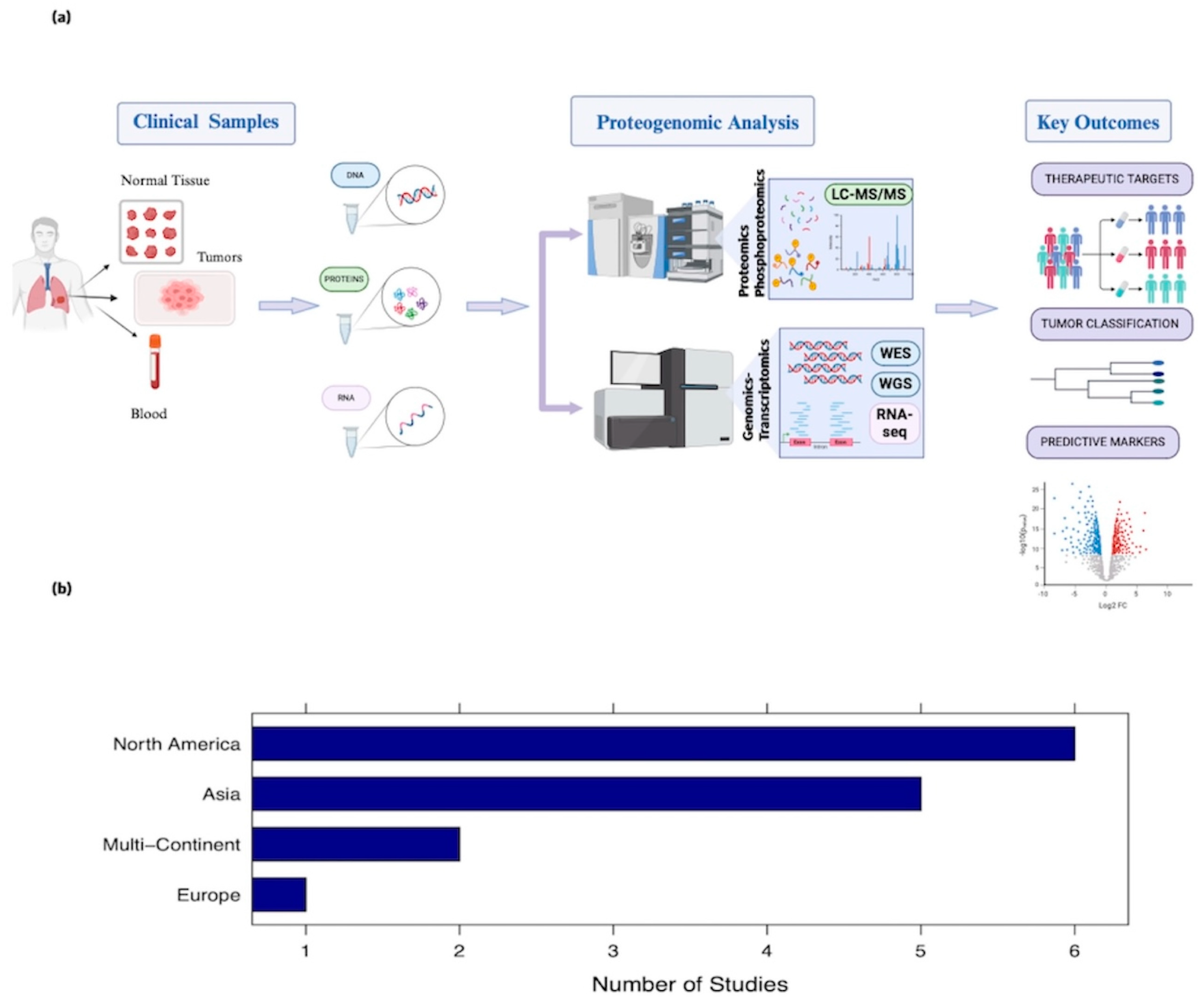 Cancers 16 01236 g001