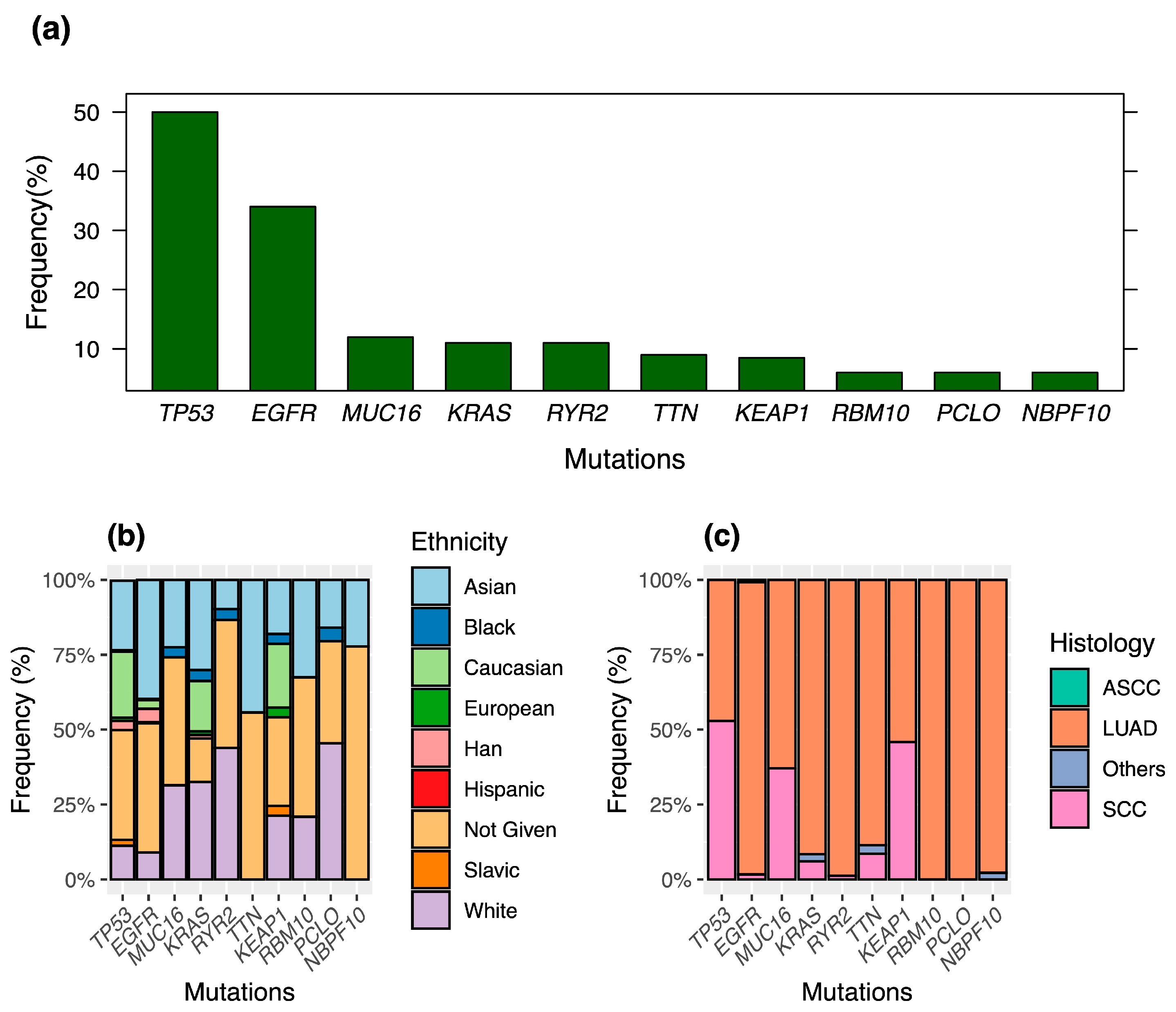 Cancers 16 01236 g002