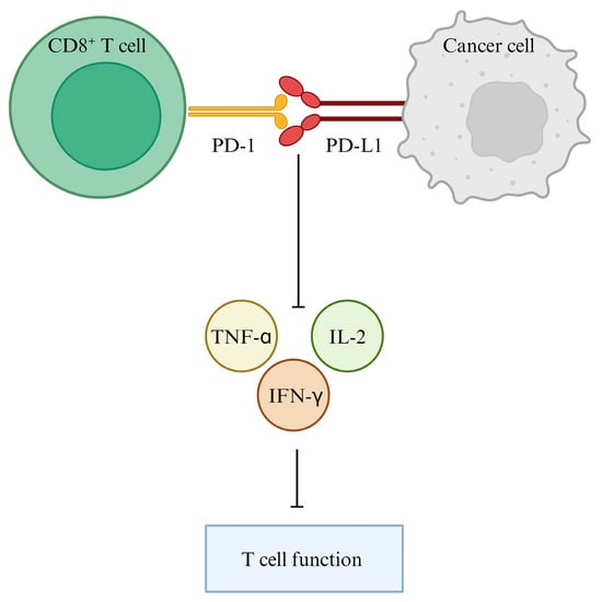 Cancers 16 01237 g002