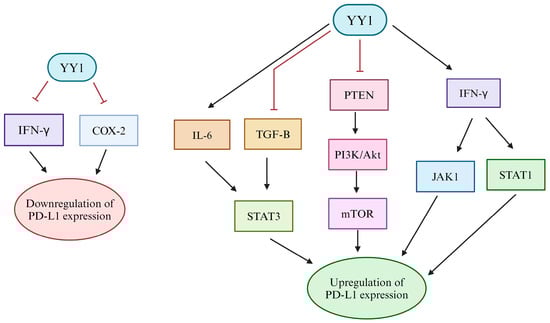 Cancers 16 01237 g003