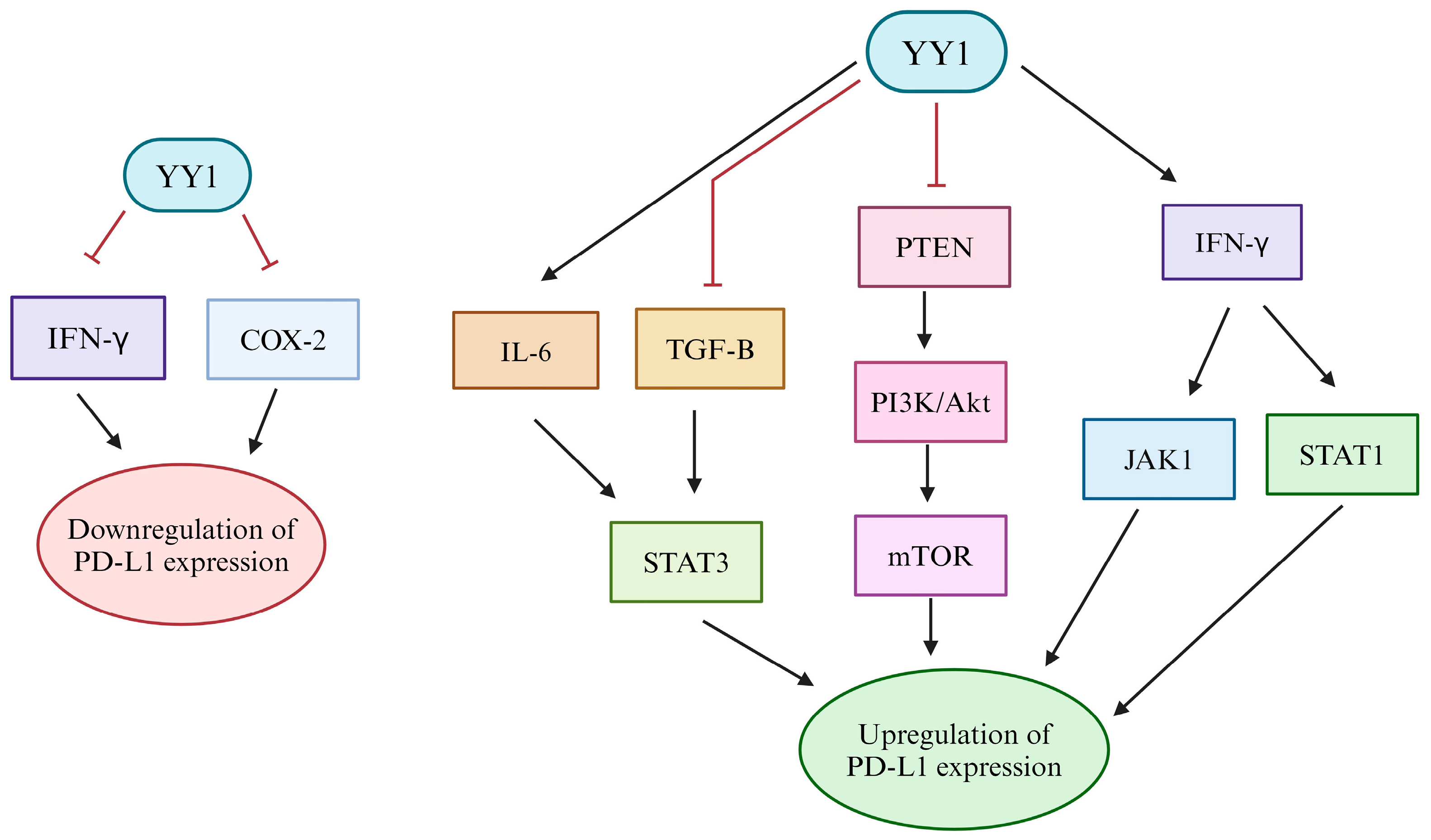 Cancers 16 01237 g003