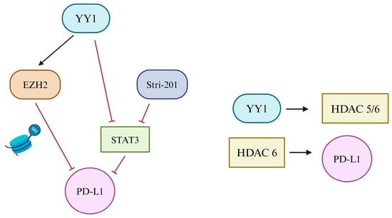 Cancers 16 01237 g004