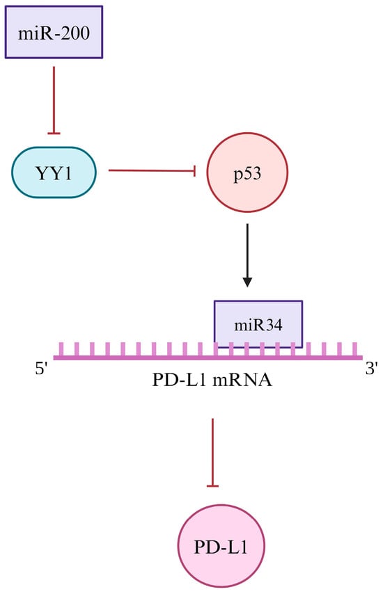 Cancers 16 01237 g005
