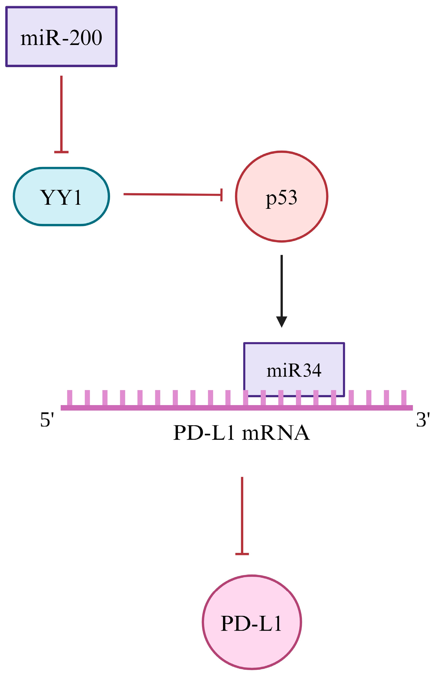 Cancers 16 01237 g005