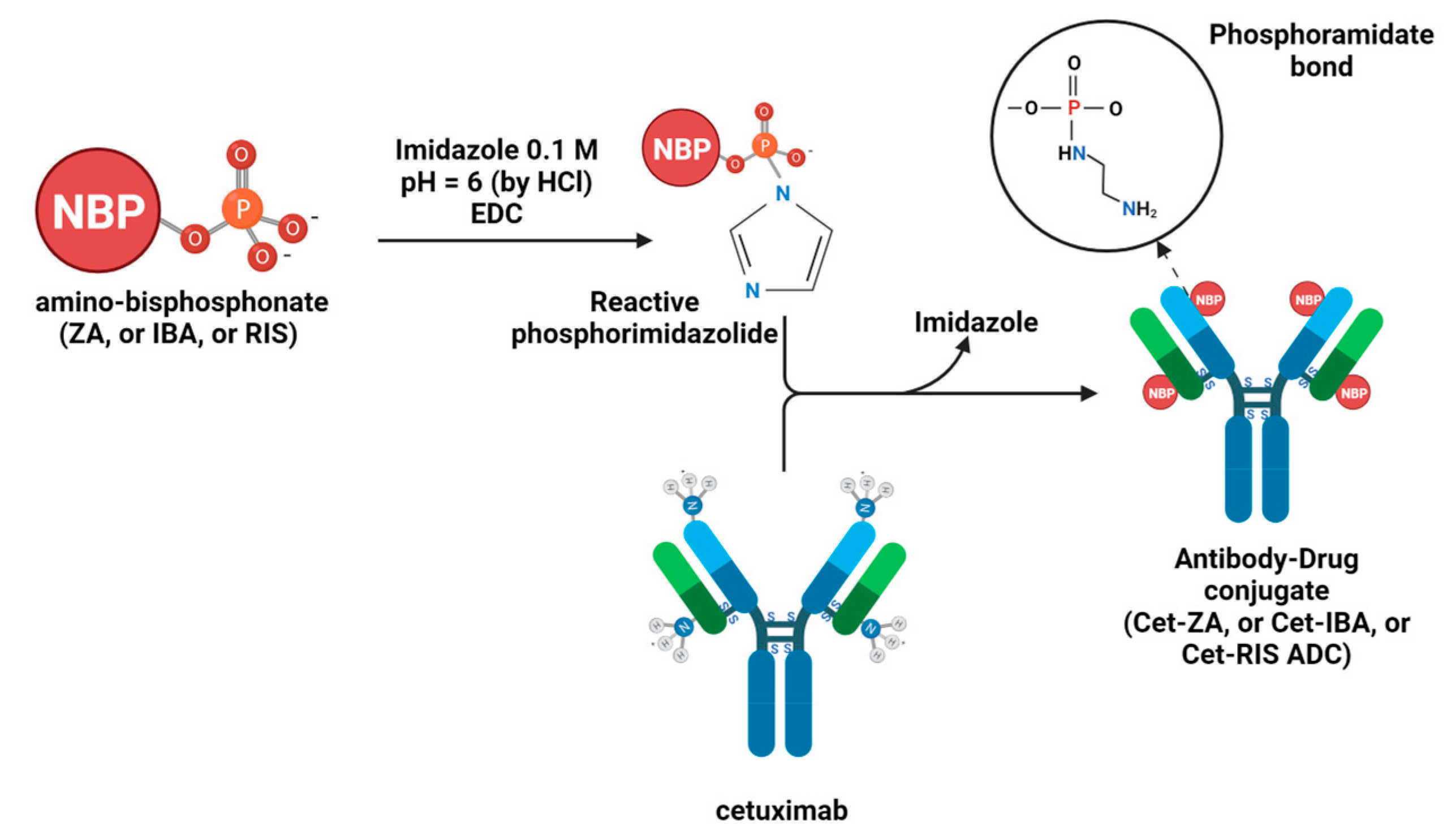 Cancers 16 01256 g001