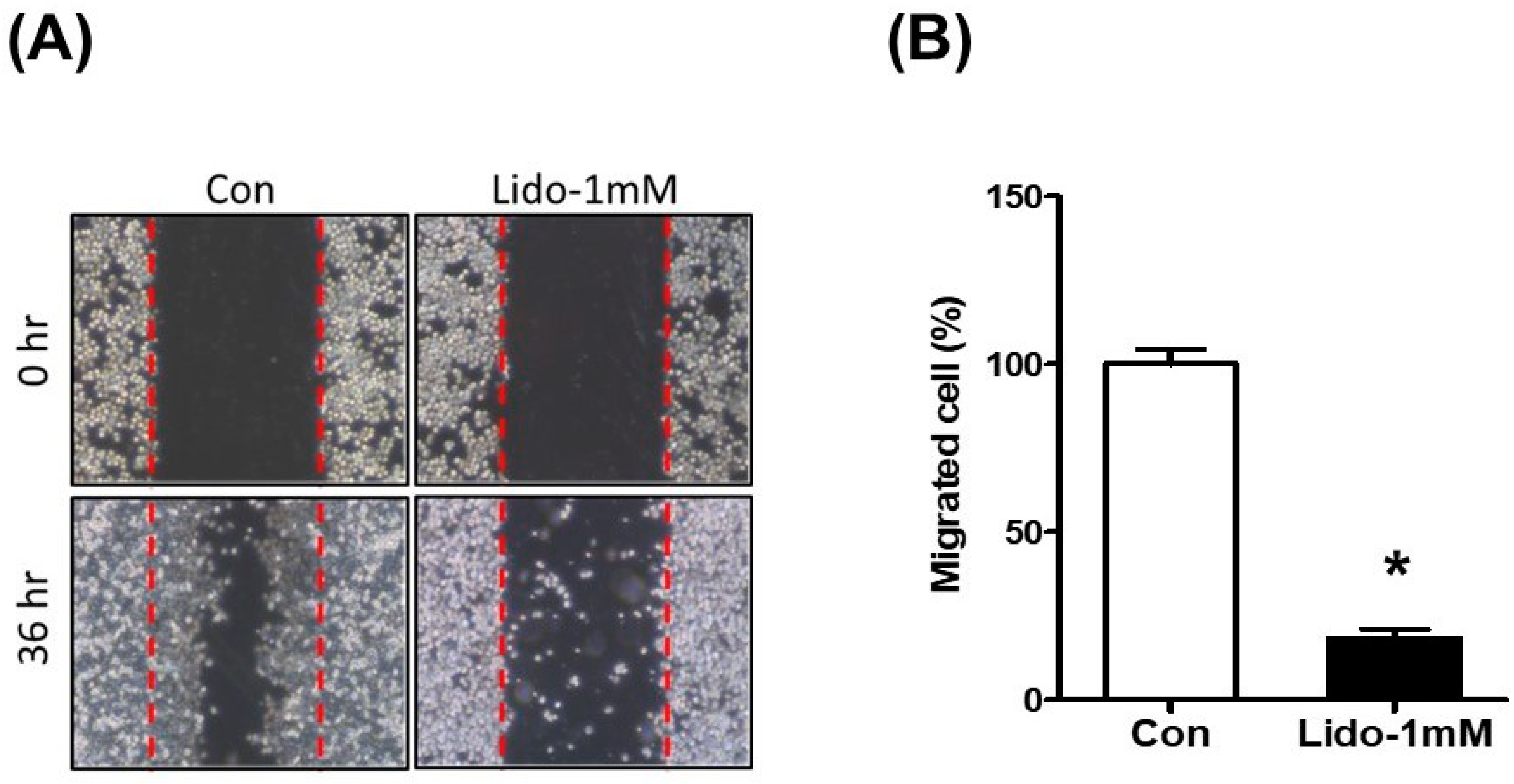 Cancers 16 01267 g003