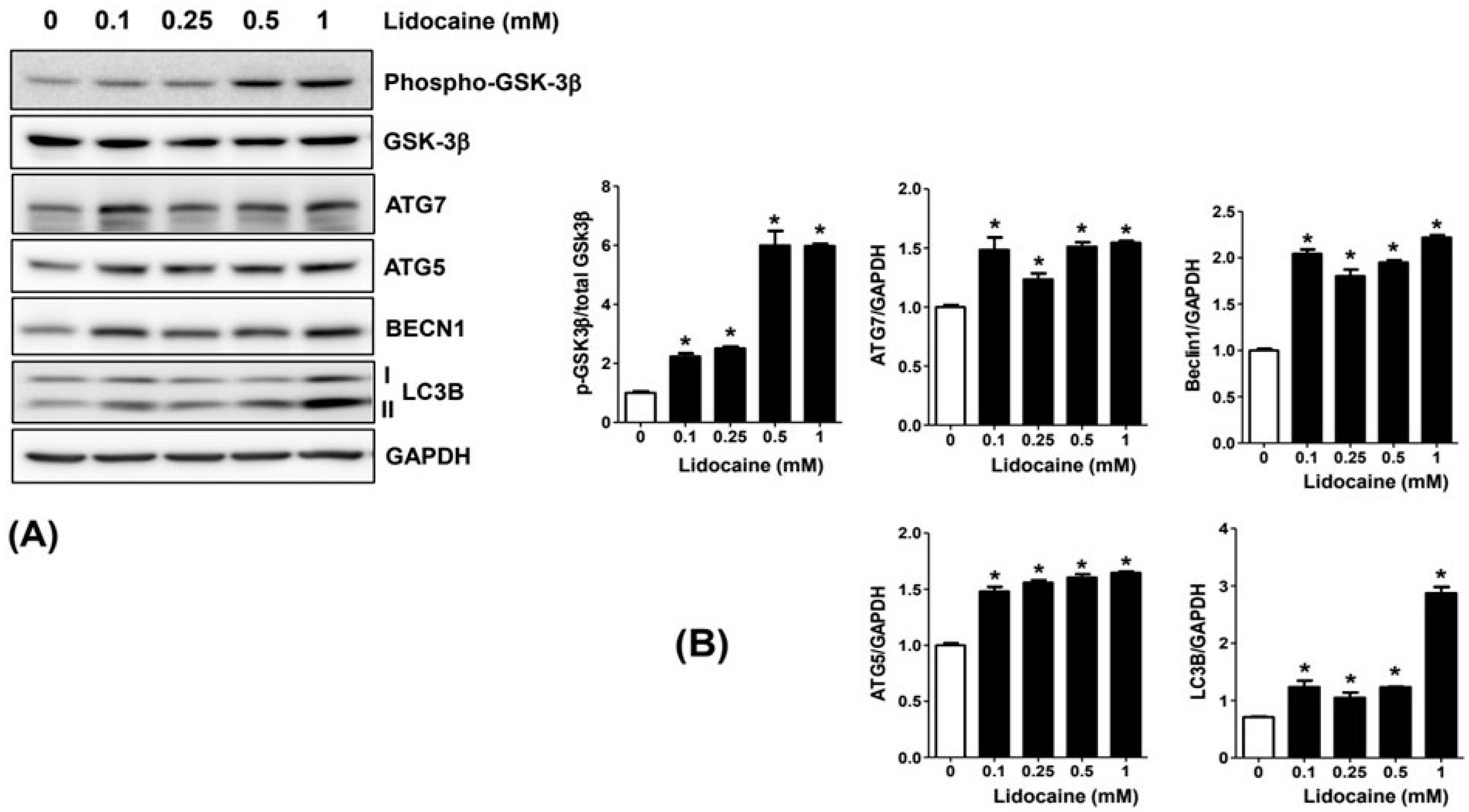 Cancers 16 01267 g004