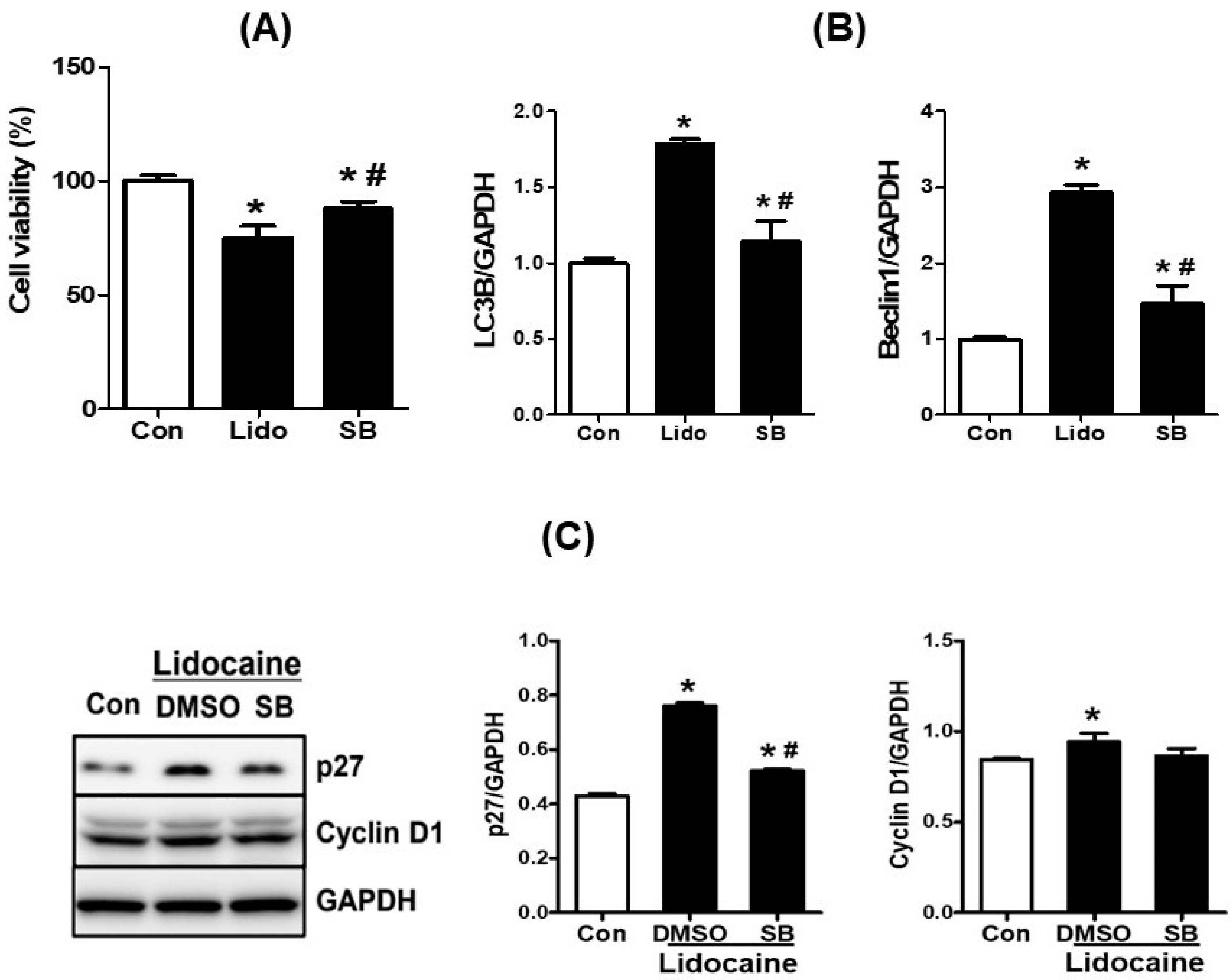 Cancers 16 01267 g005
