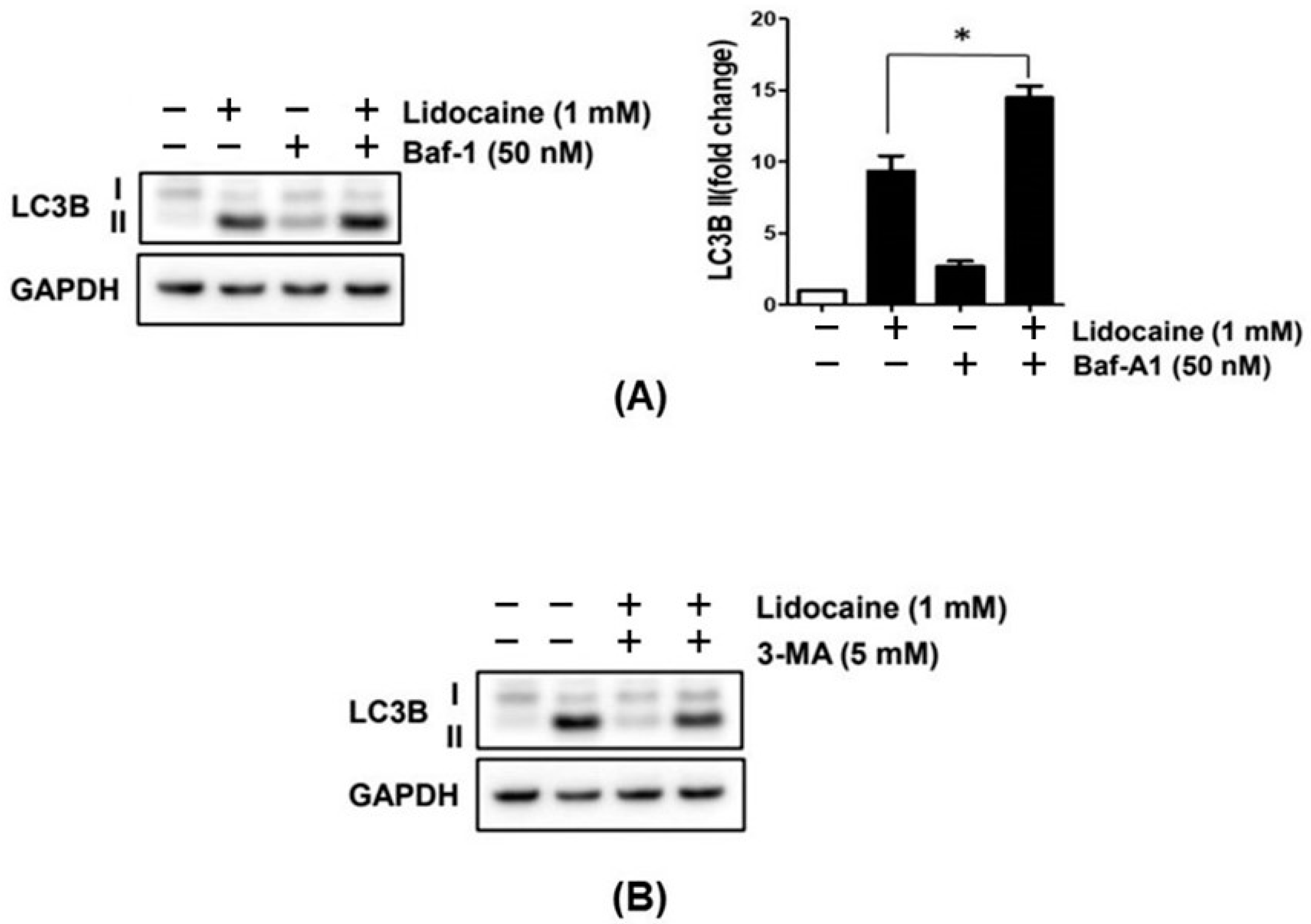 Cancers 16 01267 g007